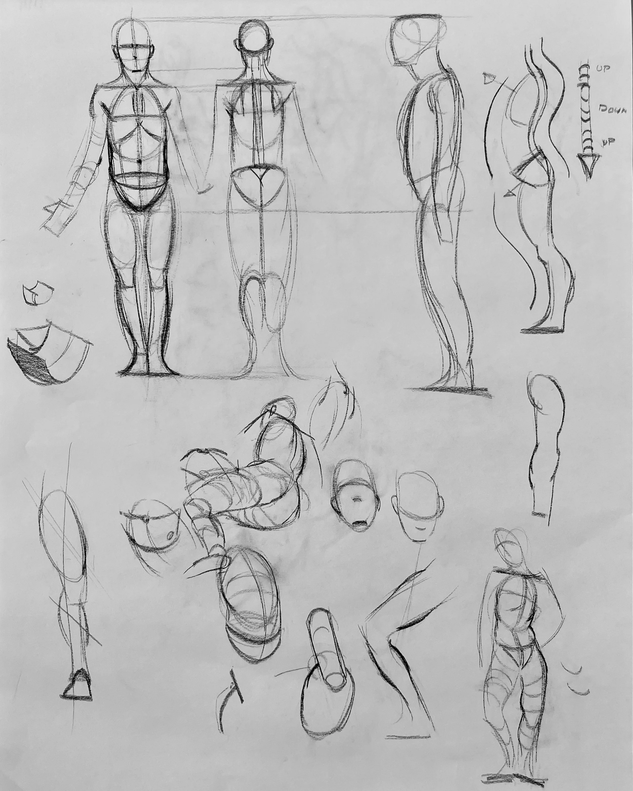 Constructive Figure Drawing