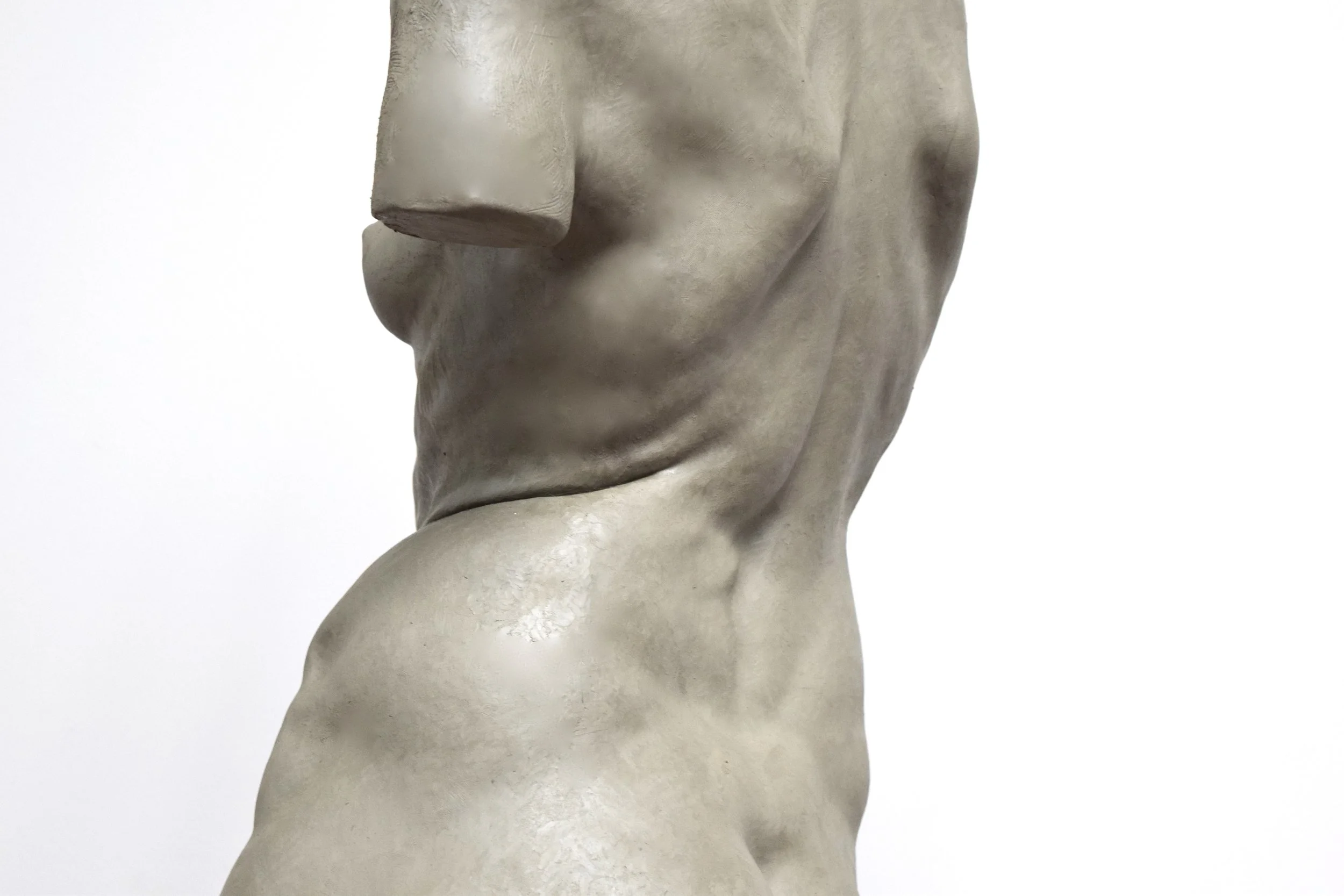 Sculpting the Torso