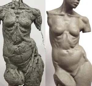 Sculpting the Torso