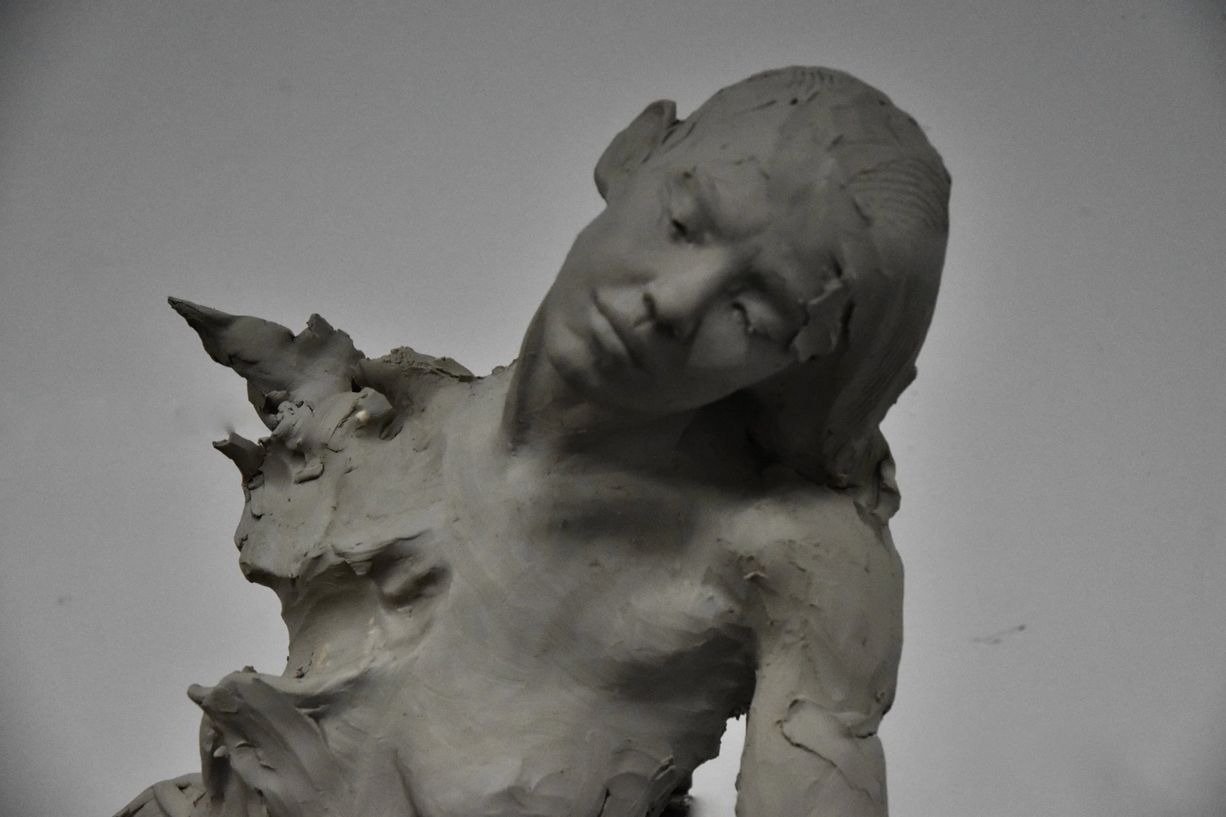 Expressive Portrait Sculpting
