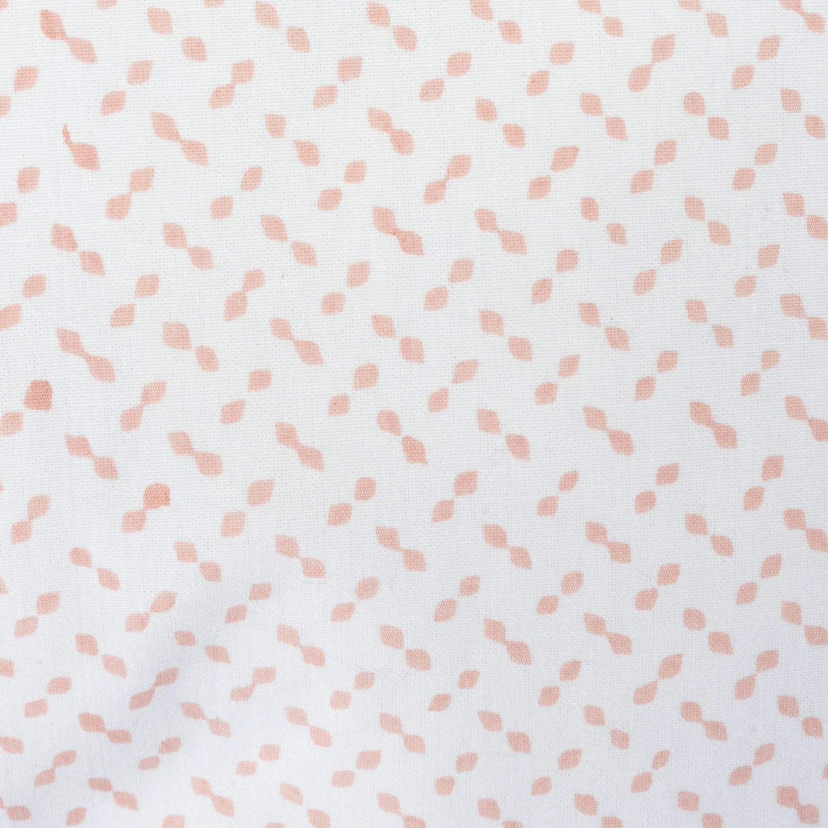 close-up_evie_a.jpg