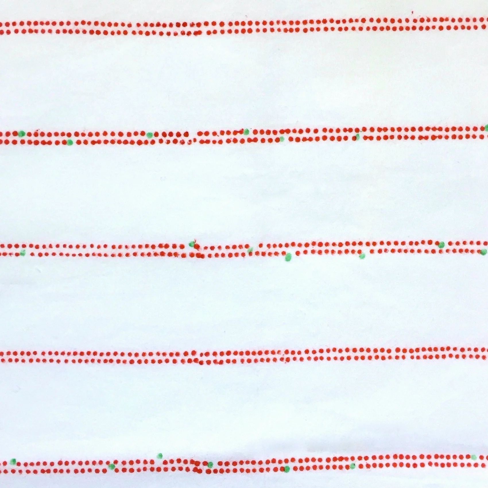 swatch nelson ta.jpg