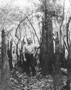 Daddy in the Big Cypress. That's a cypress knee.