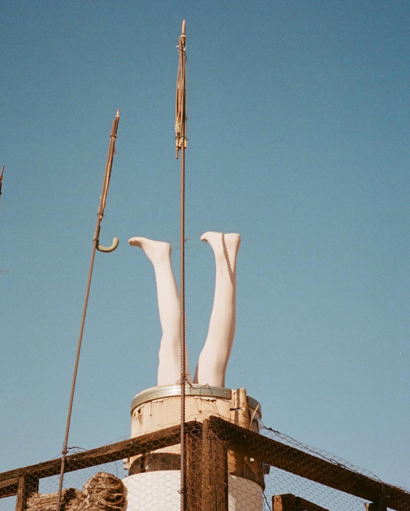 Got some film scans back from a work trip to Joshua Tree a while back. I had the opportunity to visit some desert art on a day off, including the Noah Purifoy Outdoor Desert Museum. 

In his bio: &ldquo;Purifoy dedicated himself to the found object, 