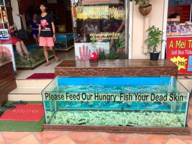 One of the many "spa" offerings along the streets of Siem Reap.