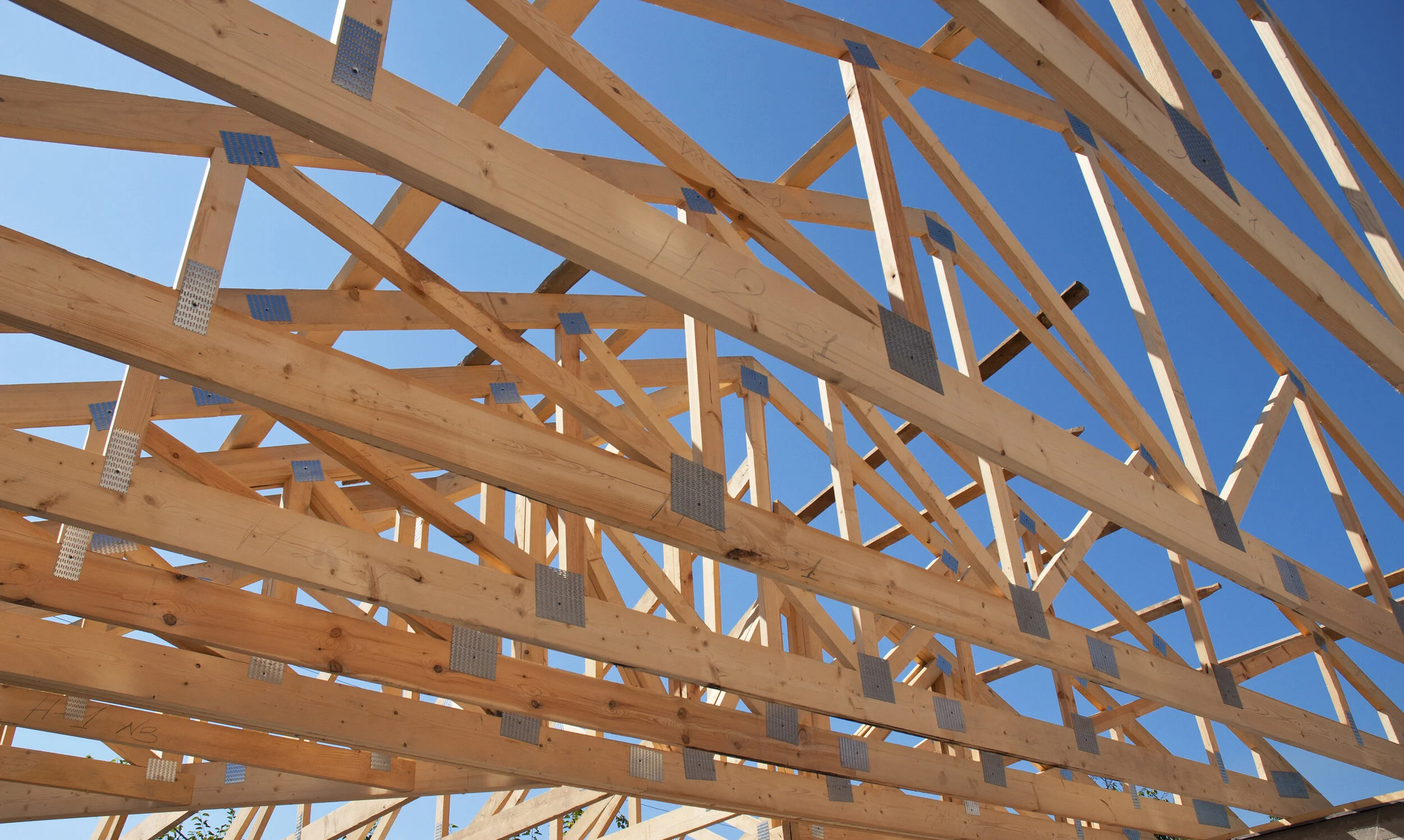 Construction Roof Frame.jpg