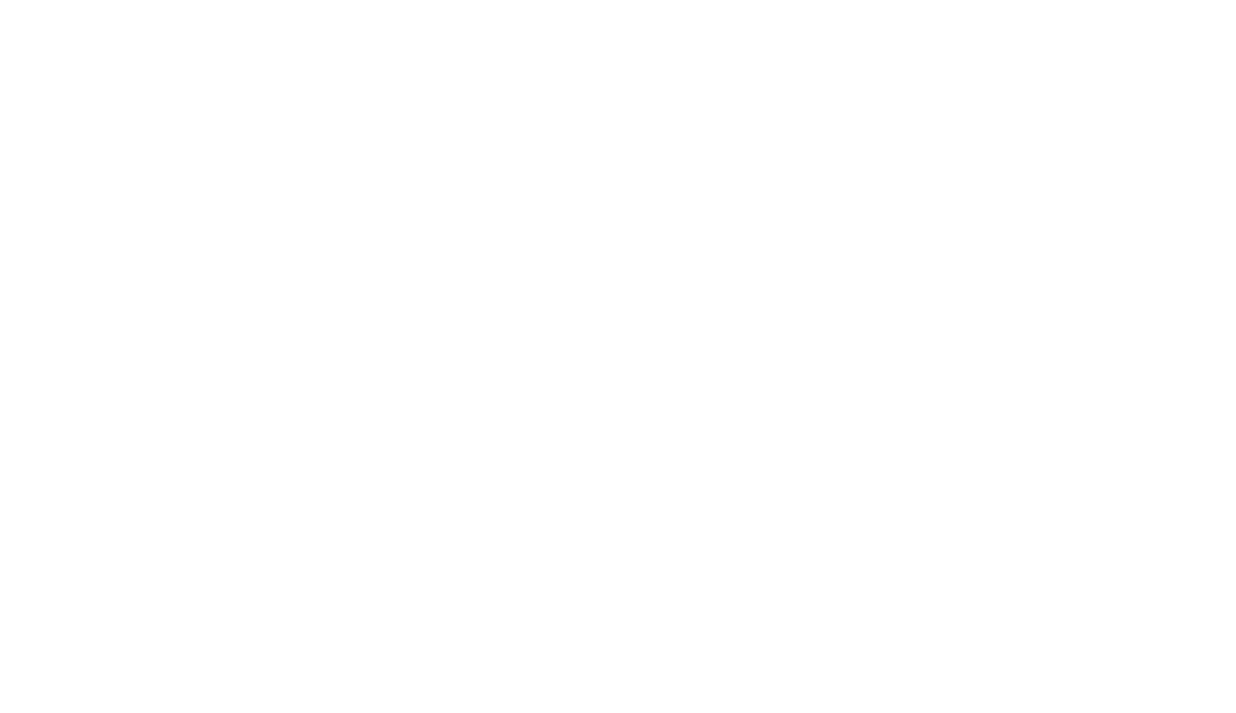 xero-platinum-partner-logo-white.png