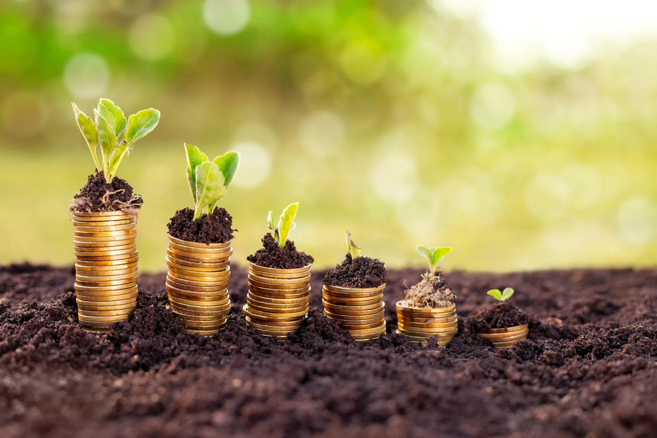 Money Coins Growing.jpg