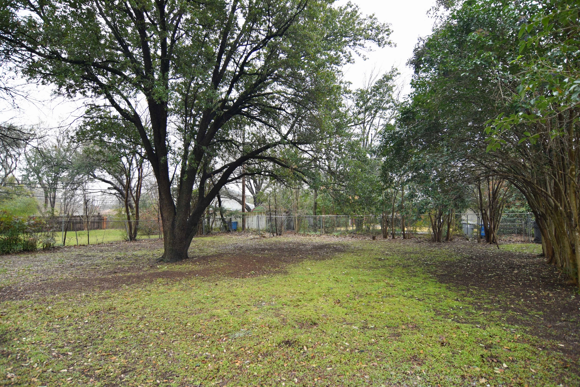 Back Yard 2 2716 Woodmere Dallas TX 75233.jpg