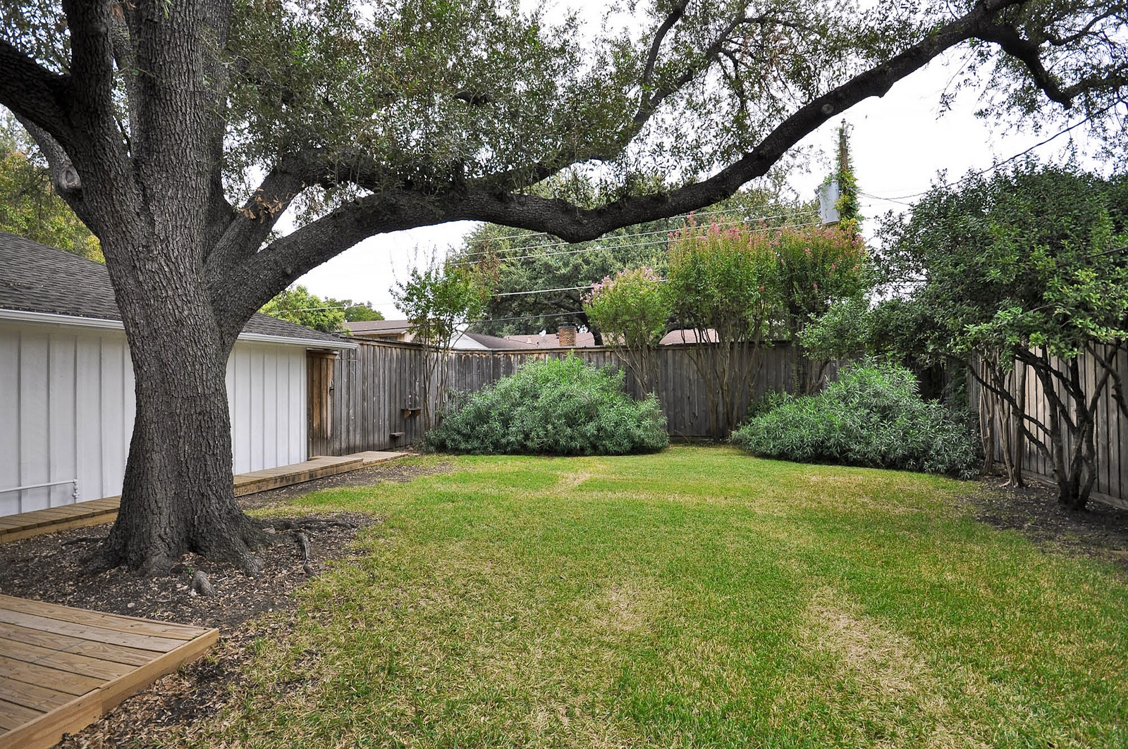 Back Yard 3163 Citation Dallas.jpg