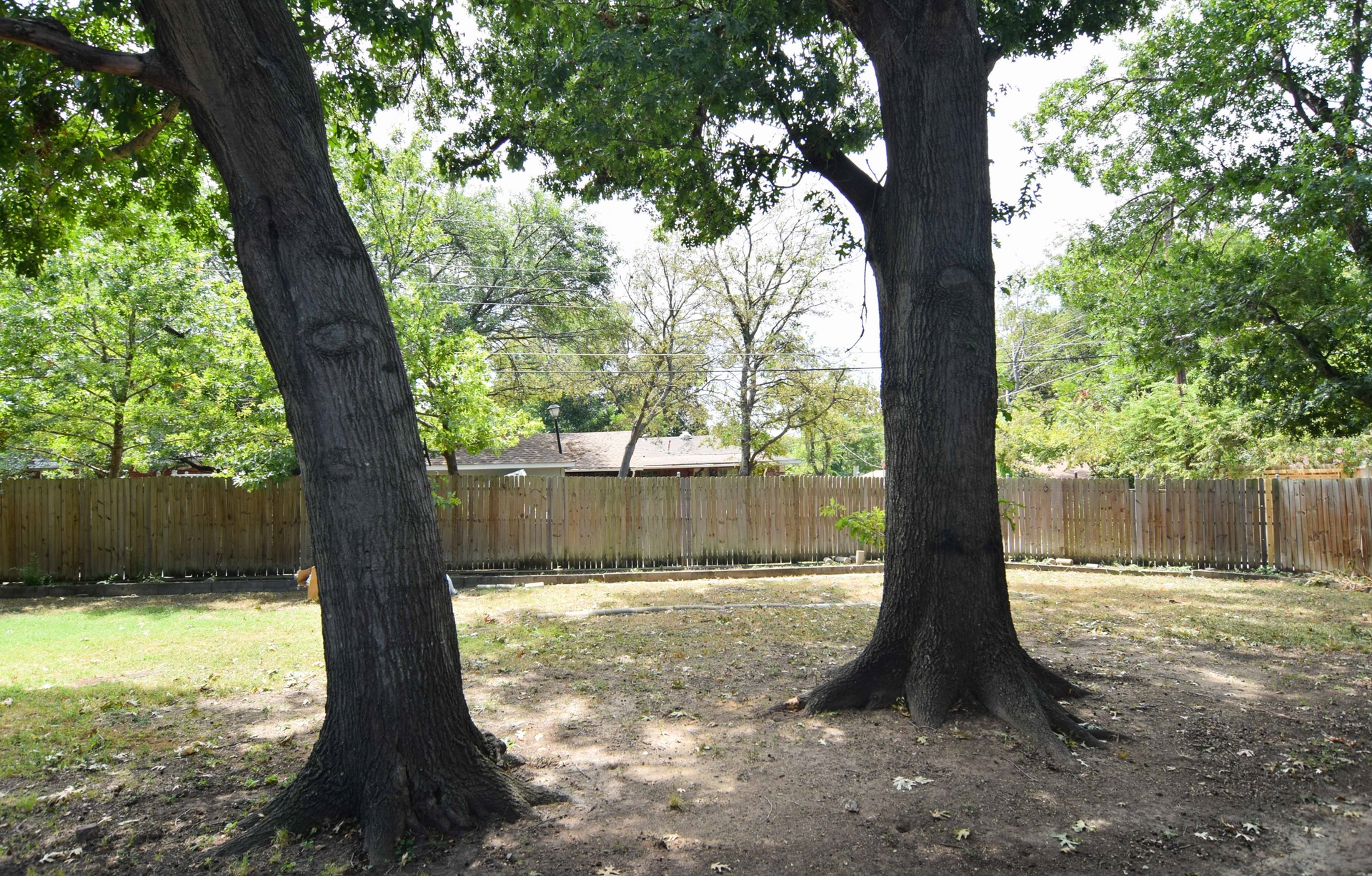 Back Yard 3112 Catamore Dr Dallas TX 75229.jpg