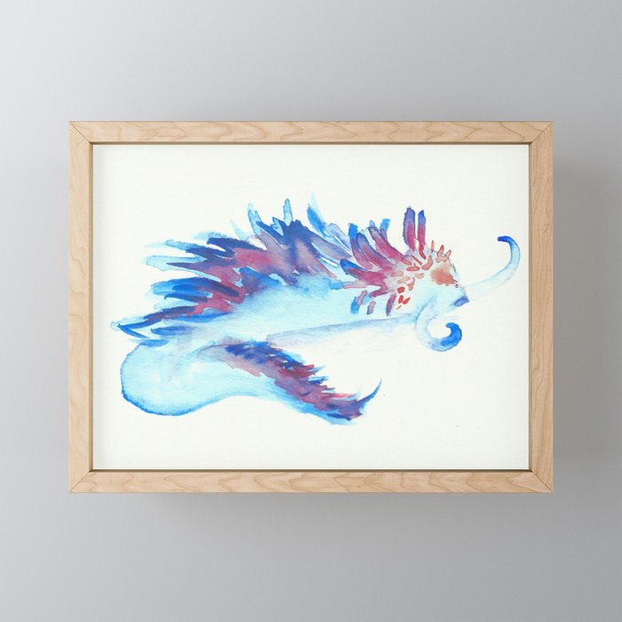 Nudibranch 01