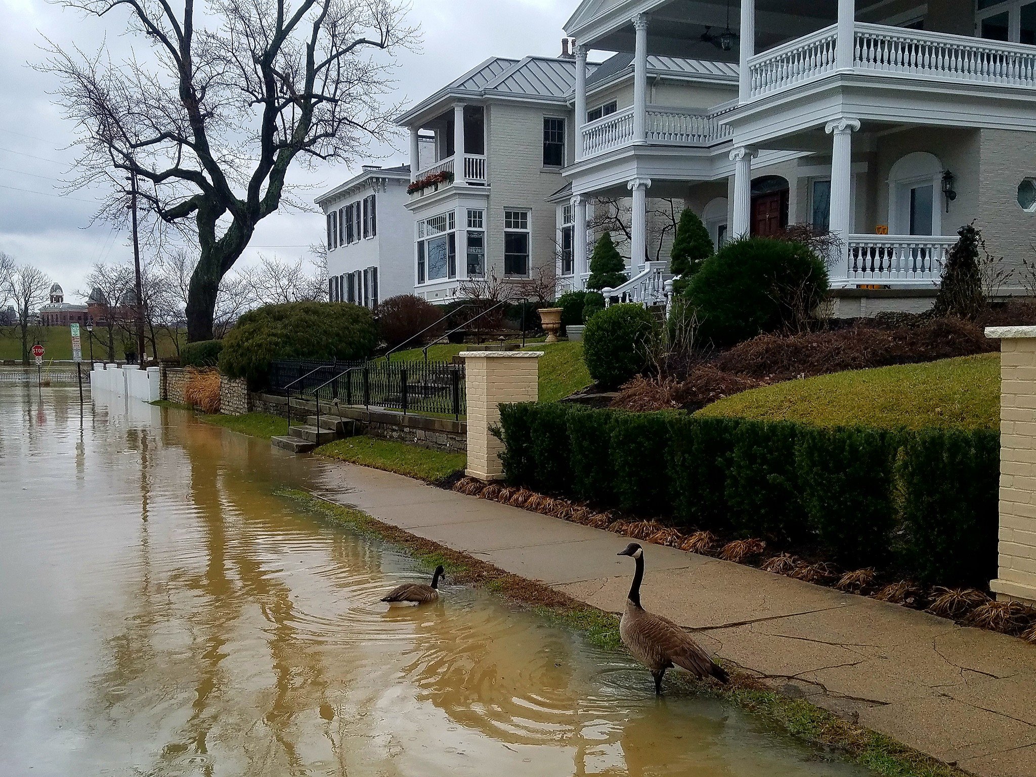 2018-02_Riverfront View. Riverside Drive.jpg