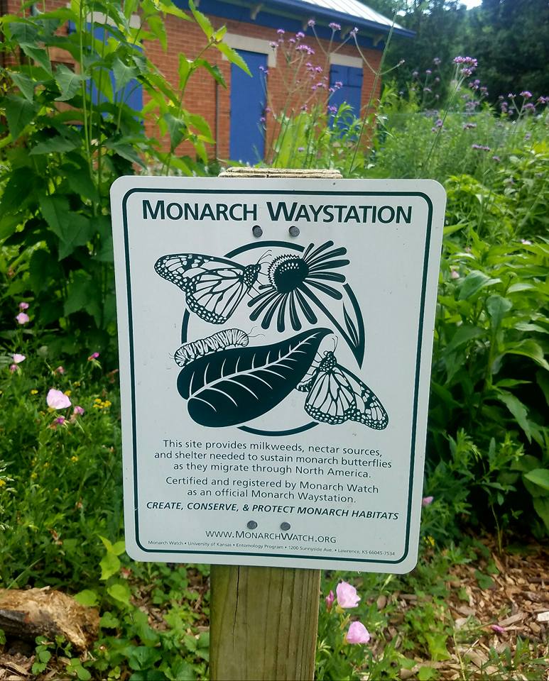 Goebel Park Monarch Waystation.jpg