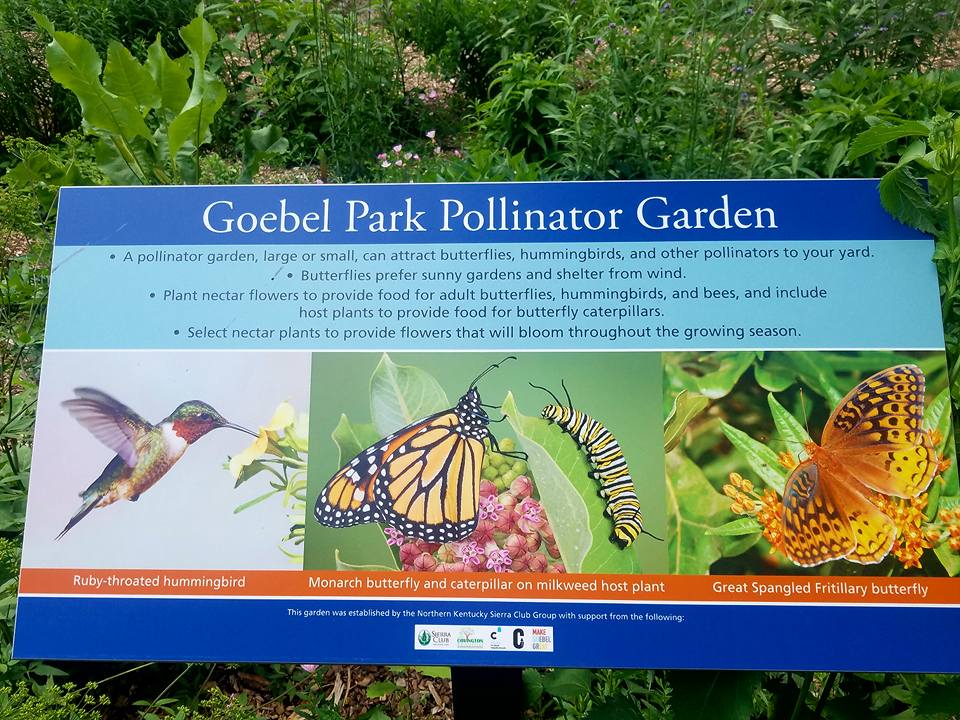 Goebel Park Pollinator Garden.jpg