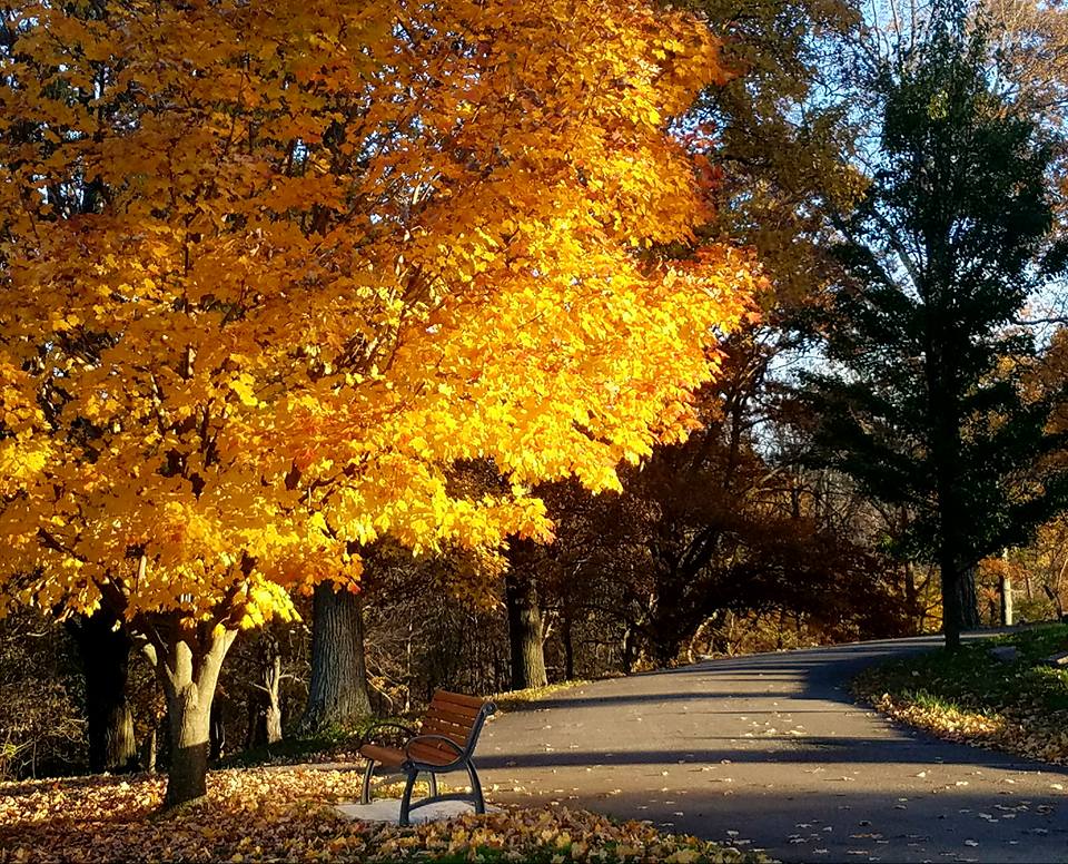 Highland Cemetery Fall Day.jpg