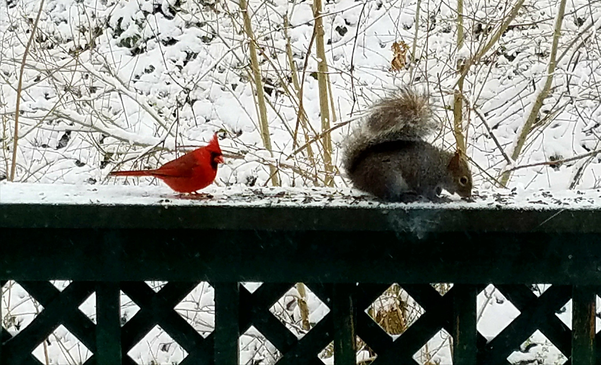 Spring Breakfast.jpg