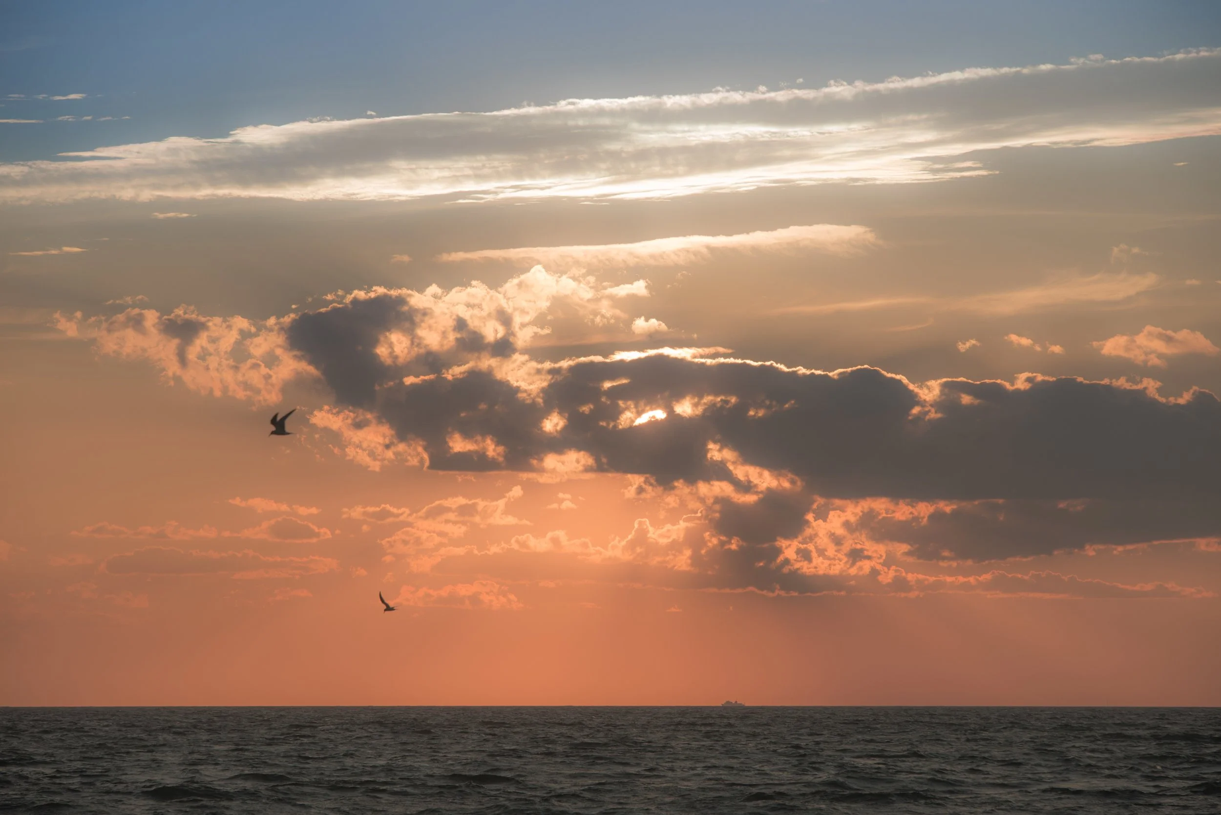 Nantucket Sound II, MA