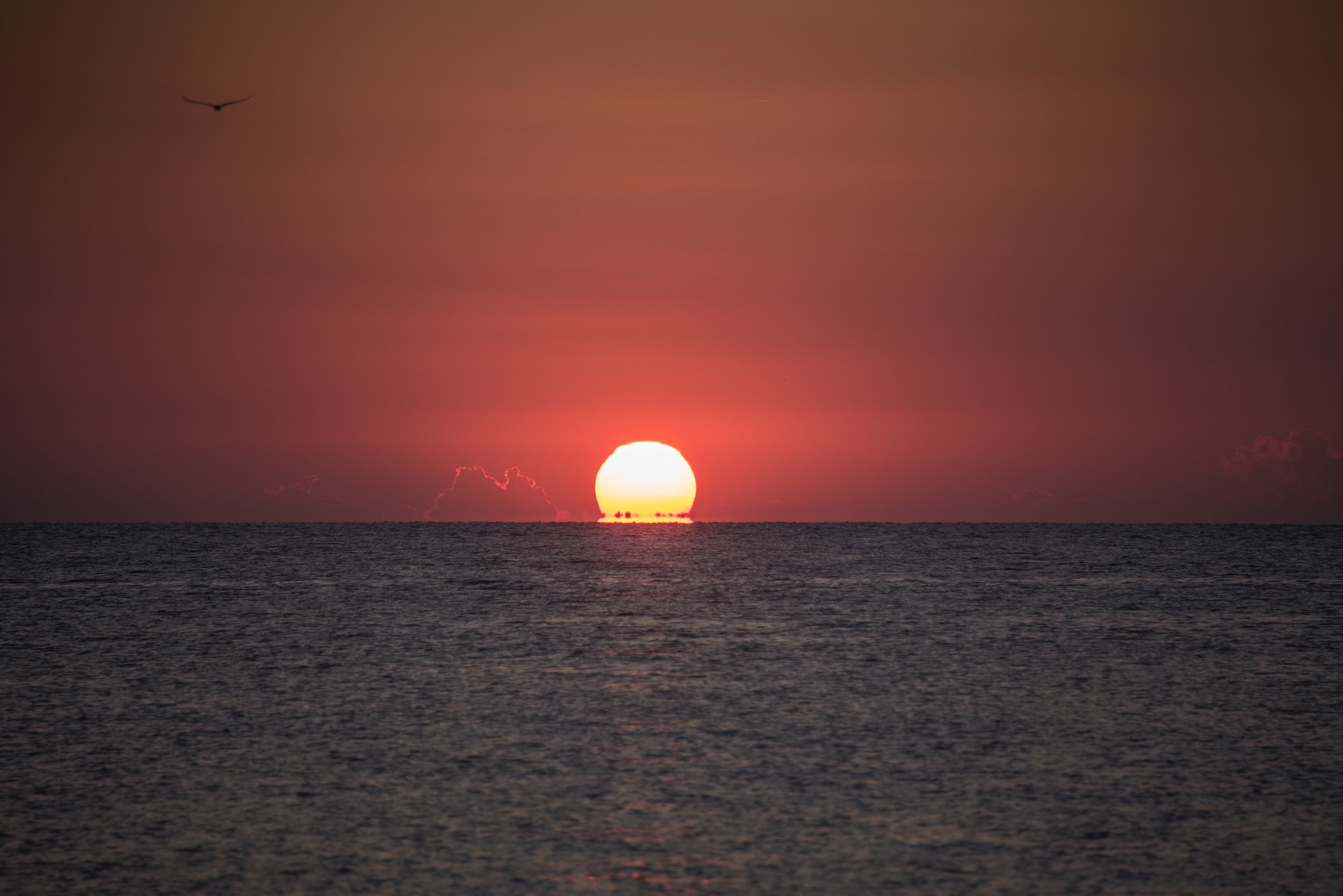 Nantucket Sound V, MA