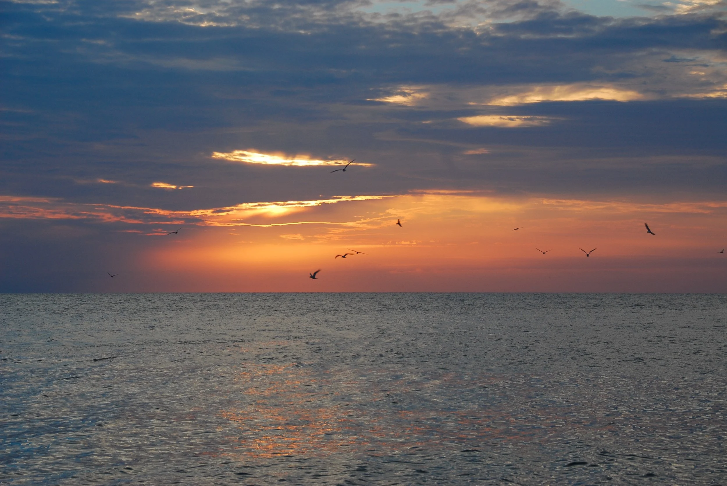 Nantucket Sound III, MA