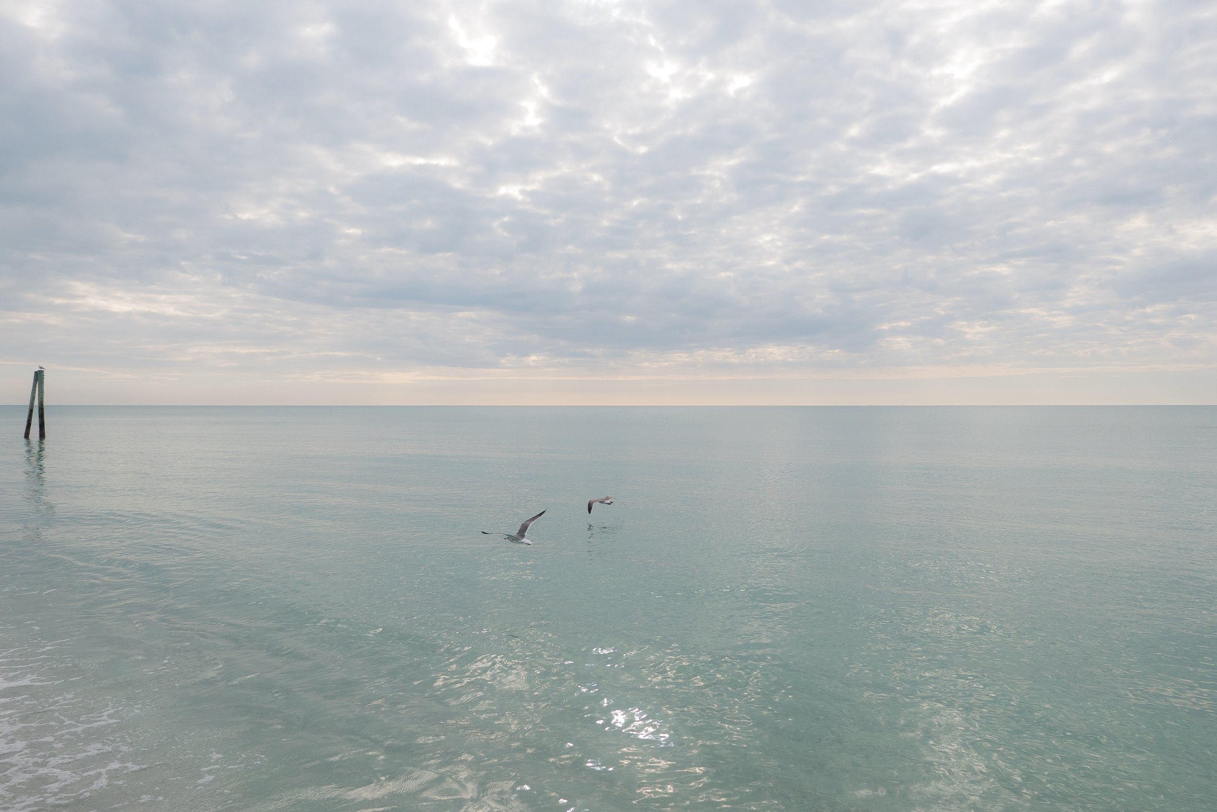 Gulf of Mexico, FL