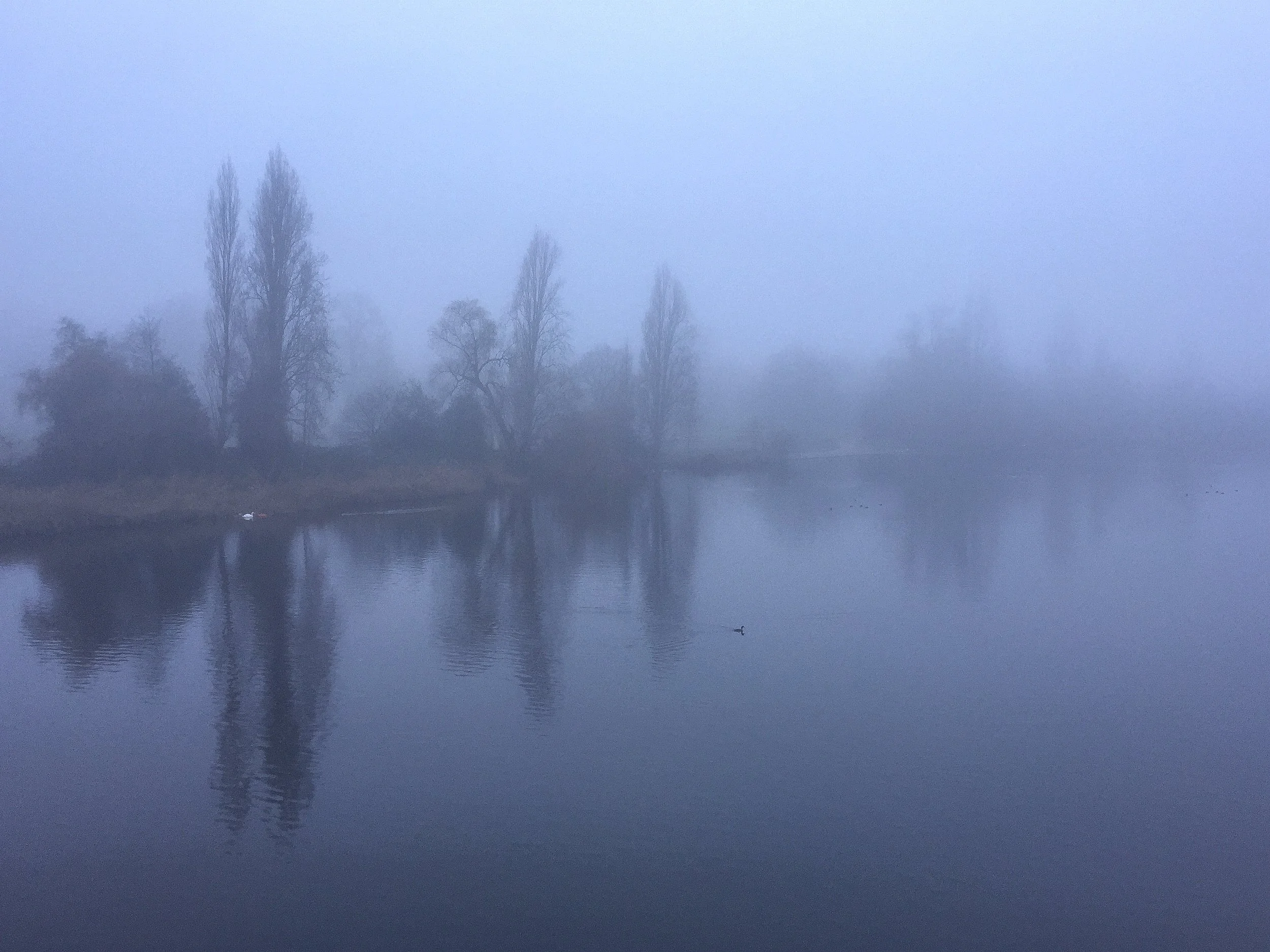 Hyde Park, London, UK