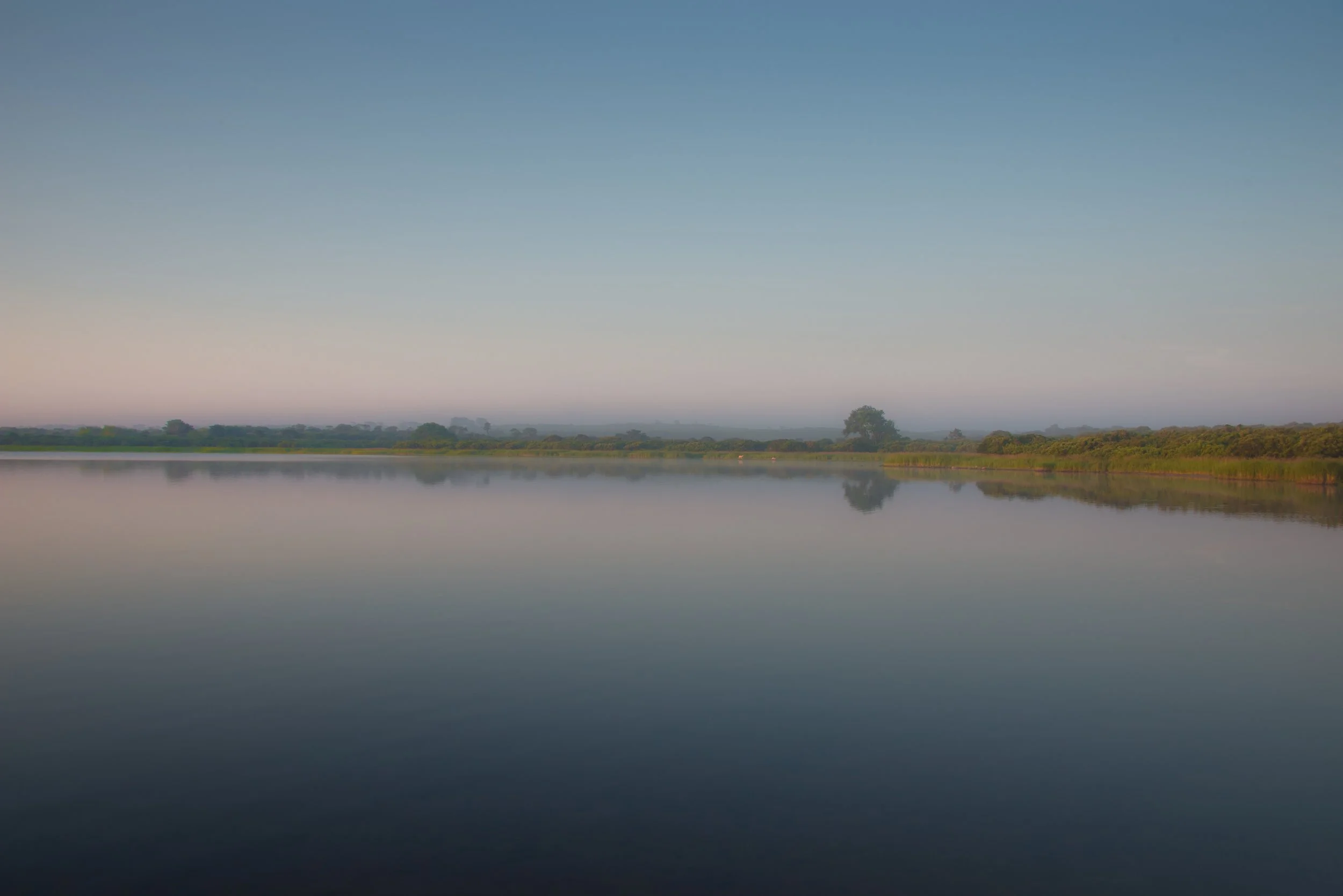 Gibbs Pond II, Nantucket, MA