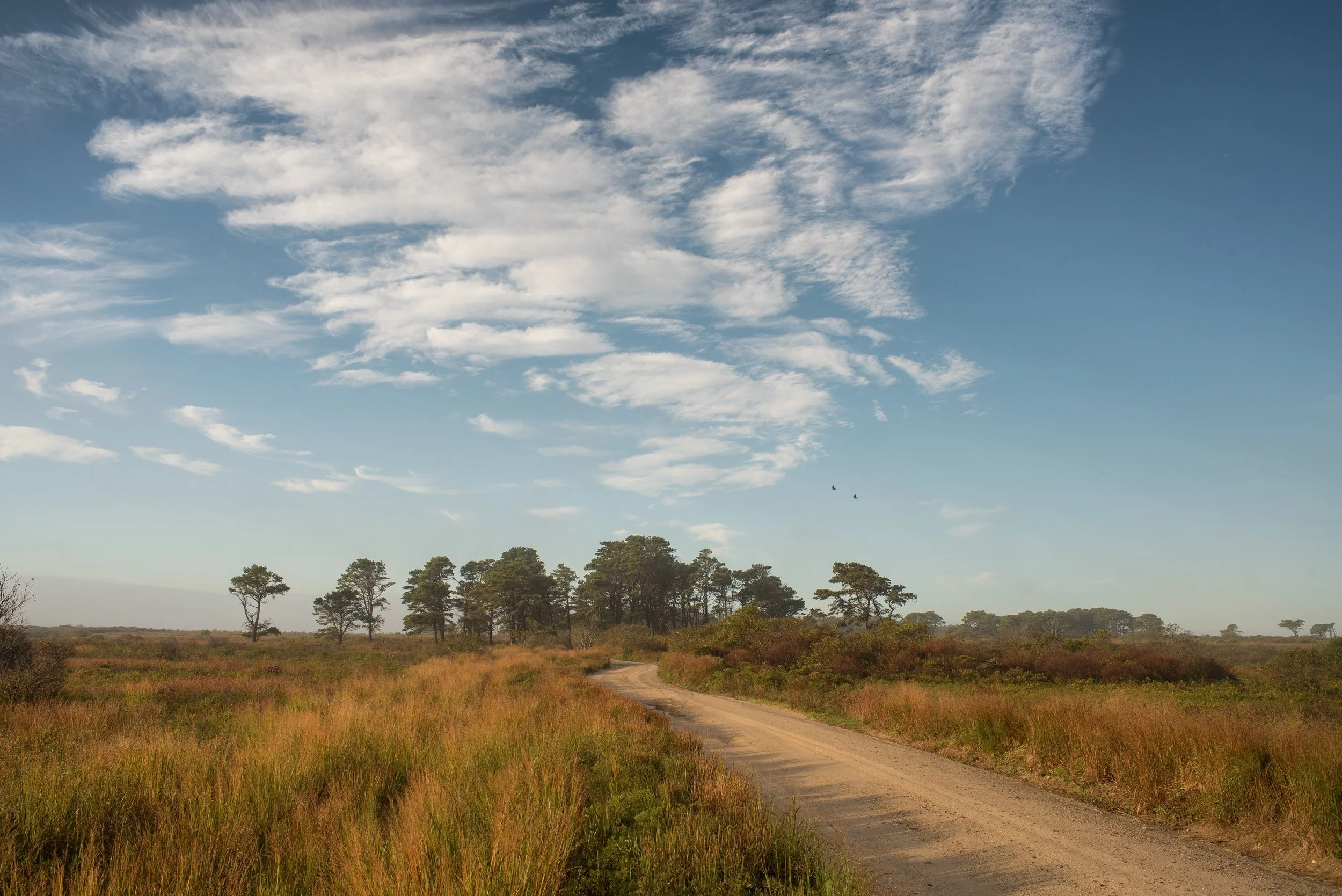 Miacomet, Nantucket, MA