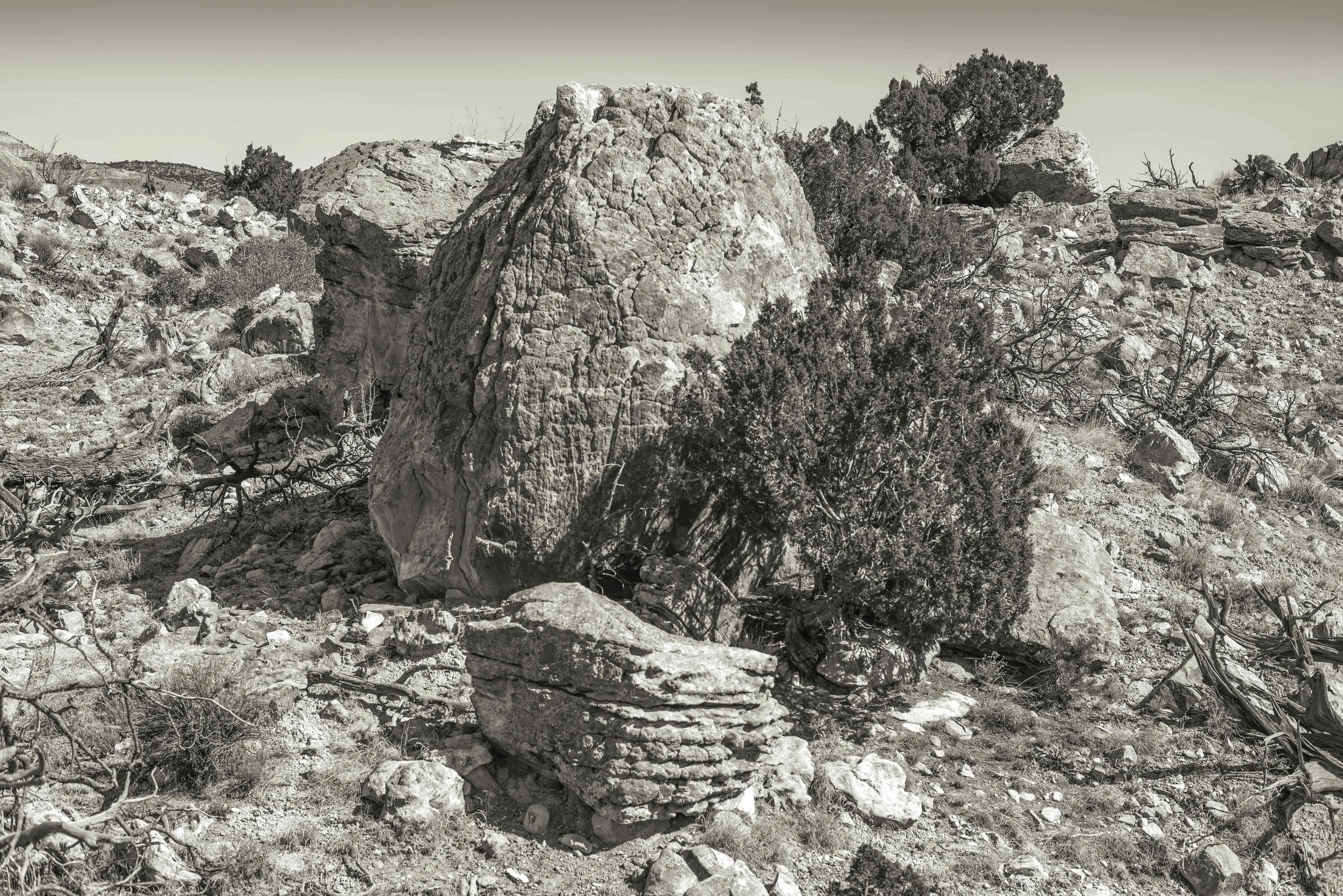 Ghost Ranch III, Abiquiu, NM