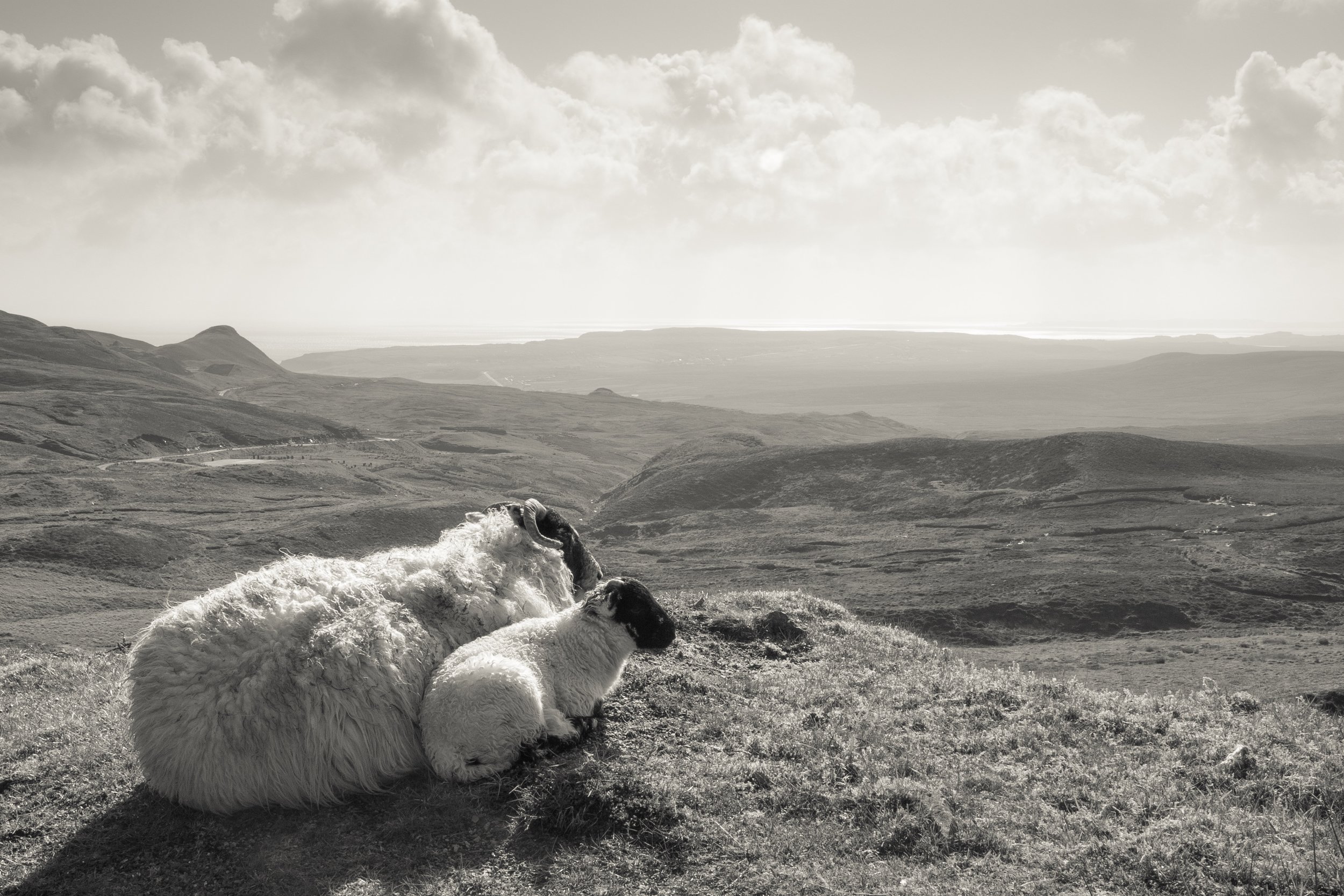 The Quiraing III, Isle of Skye, Scotland