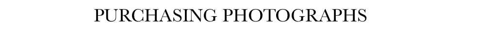 Purchase title.jpg