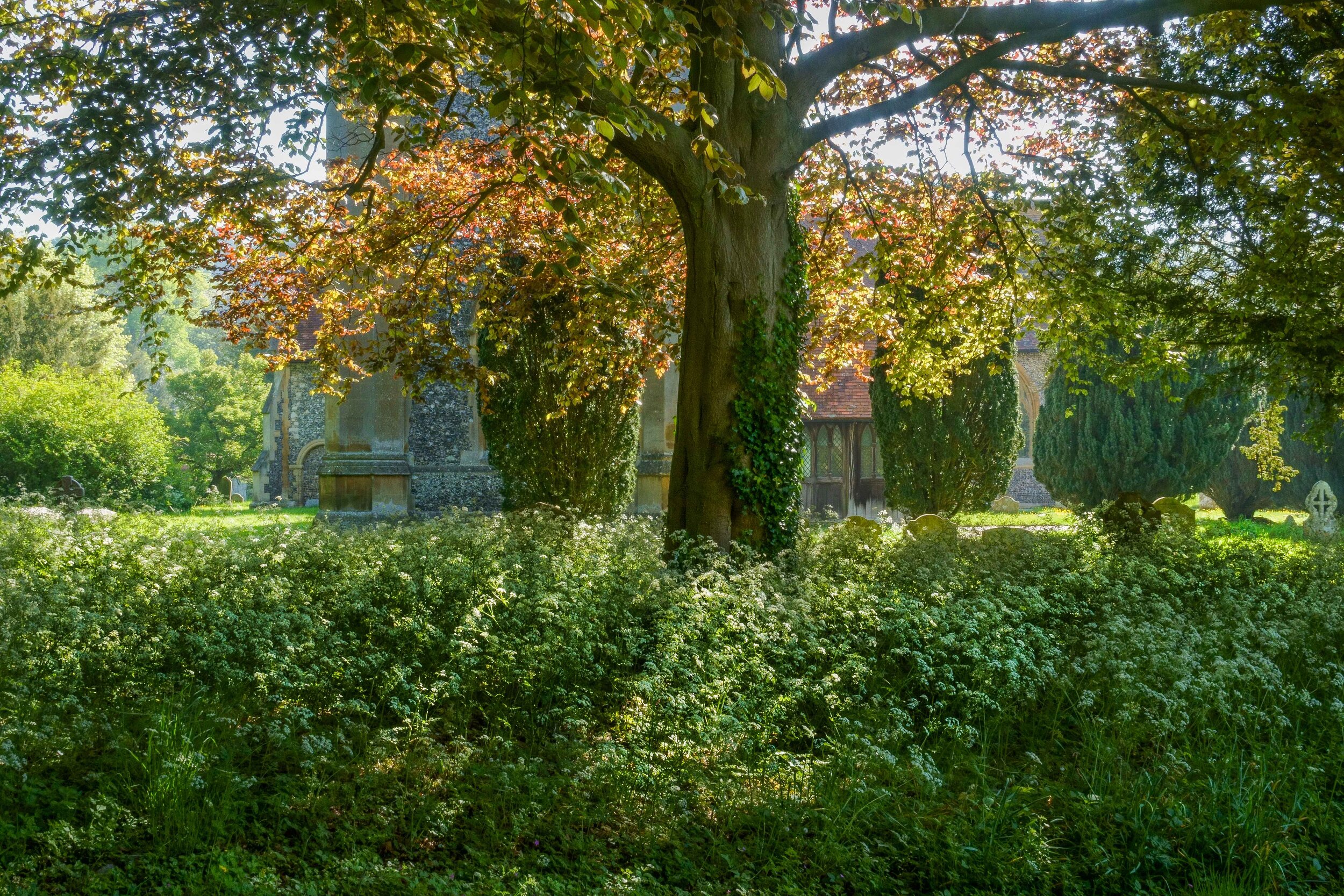 Churchyard III
