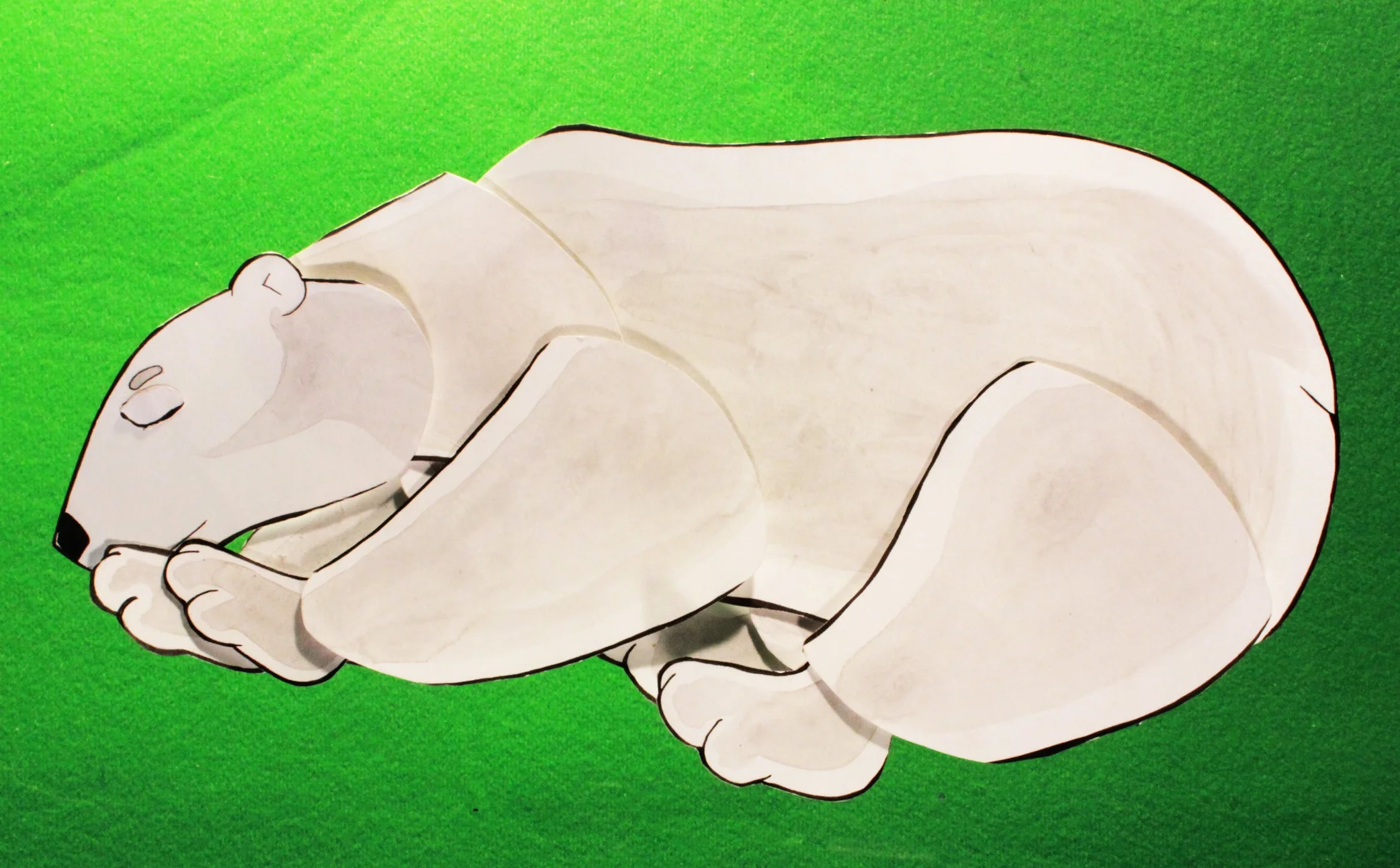 polar_bear_sleeping.jpg