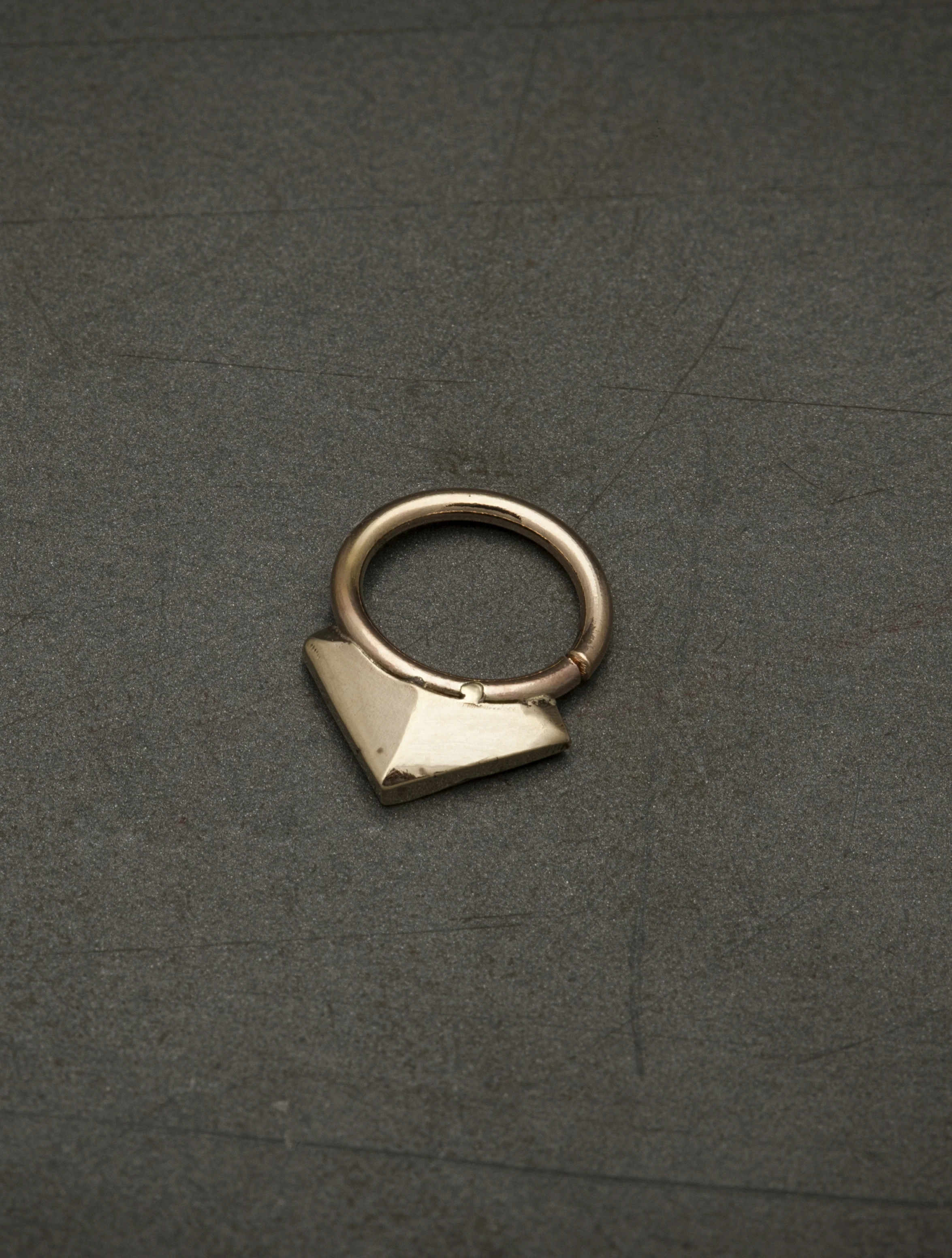 Strength septum - bronze.jpg