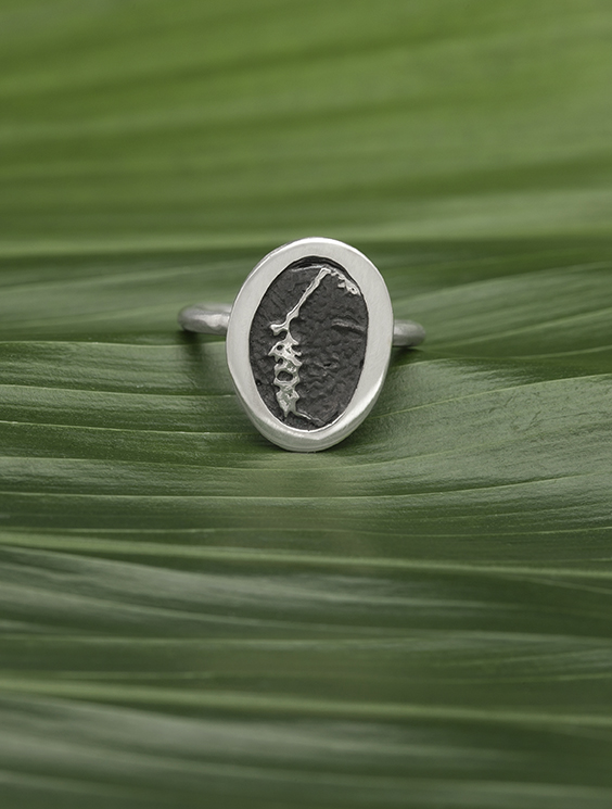 Wheat ring.jpg