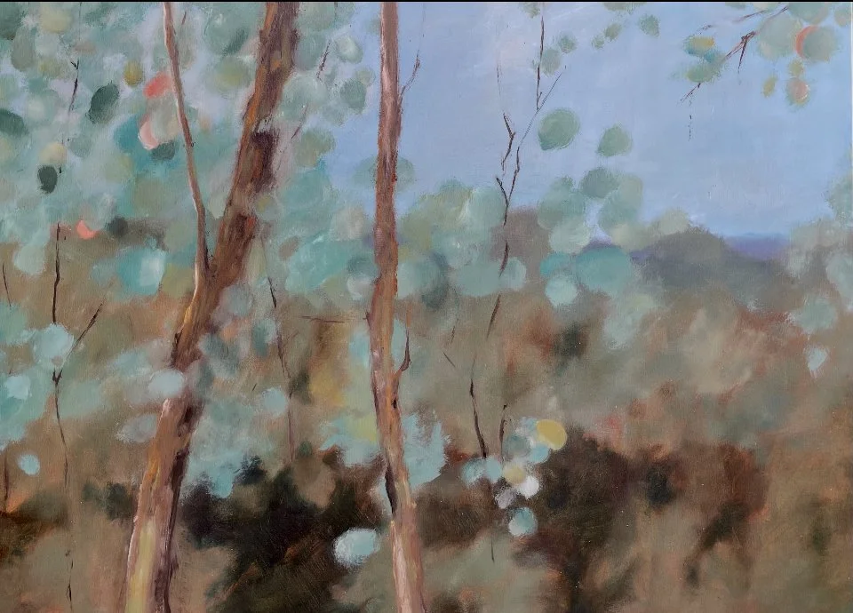 Dunmoochin December 2025