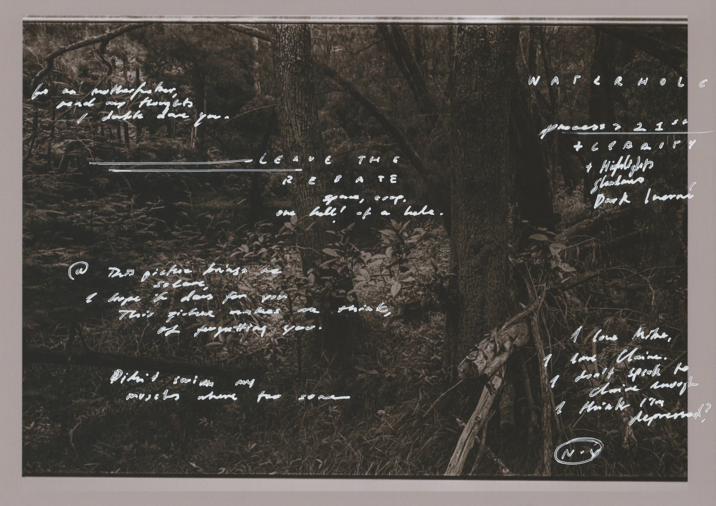 Scan 1.jpg