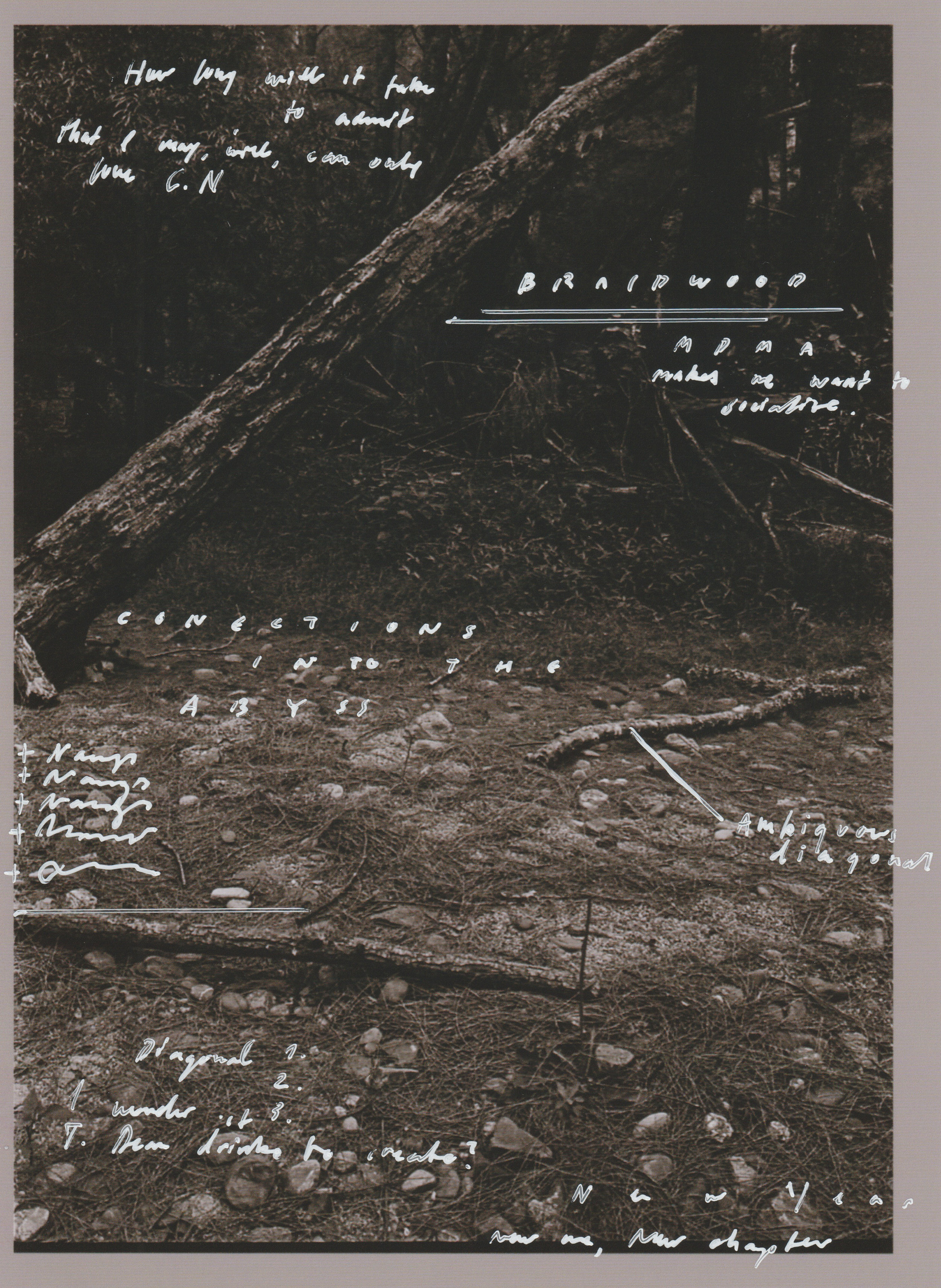 Scan 3.jpg