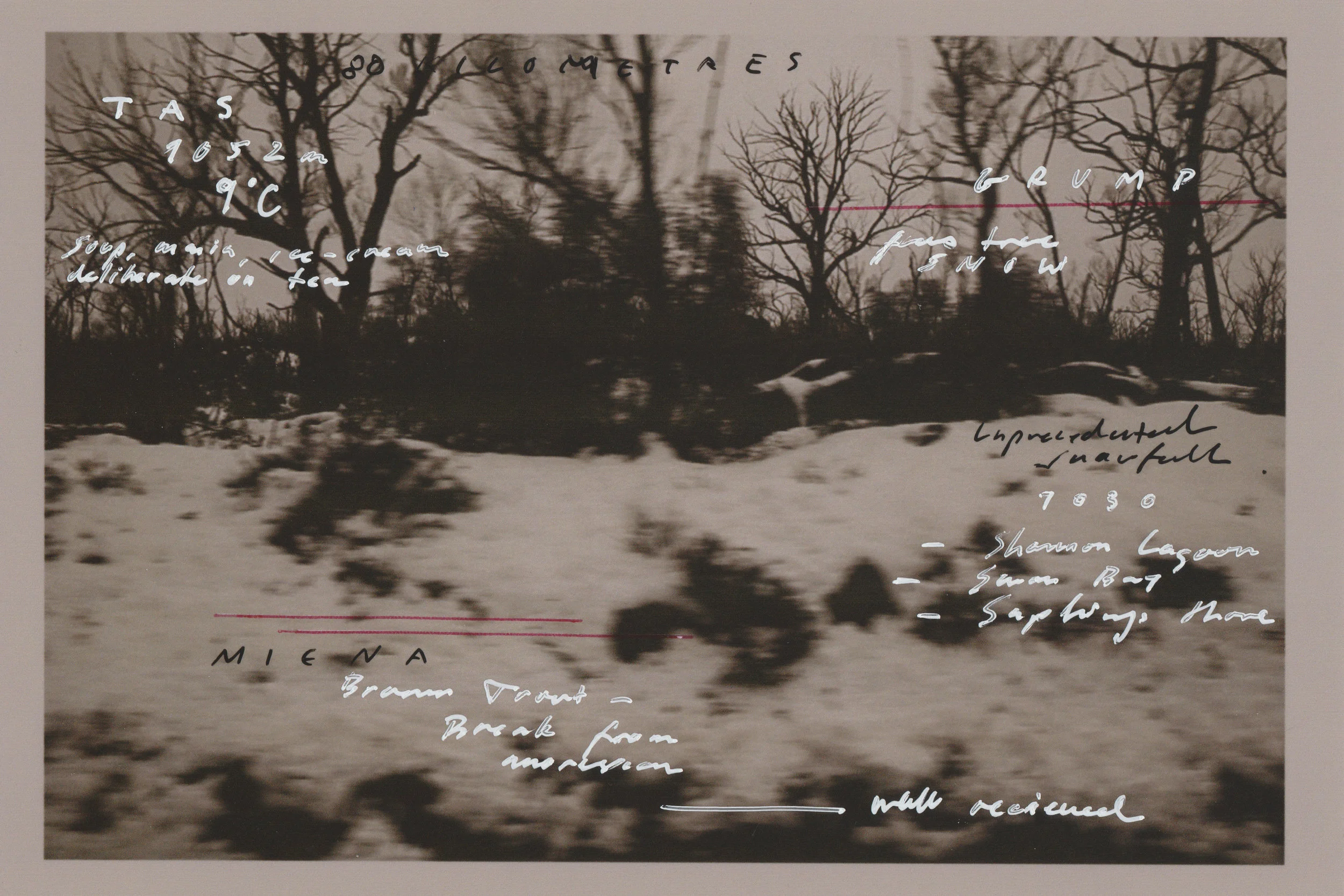 Scan 6.jpg