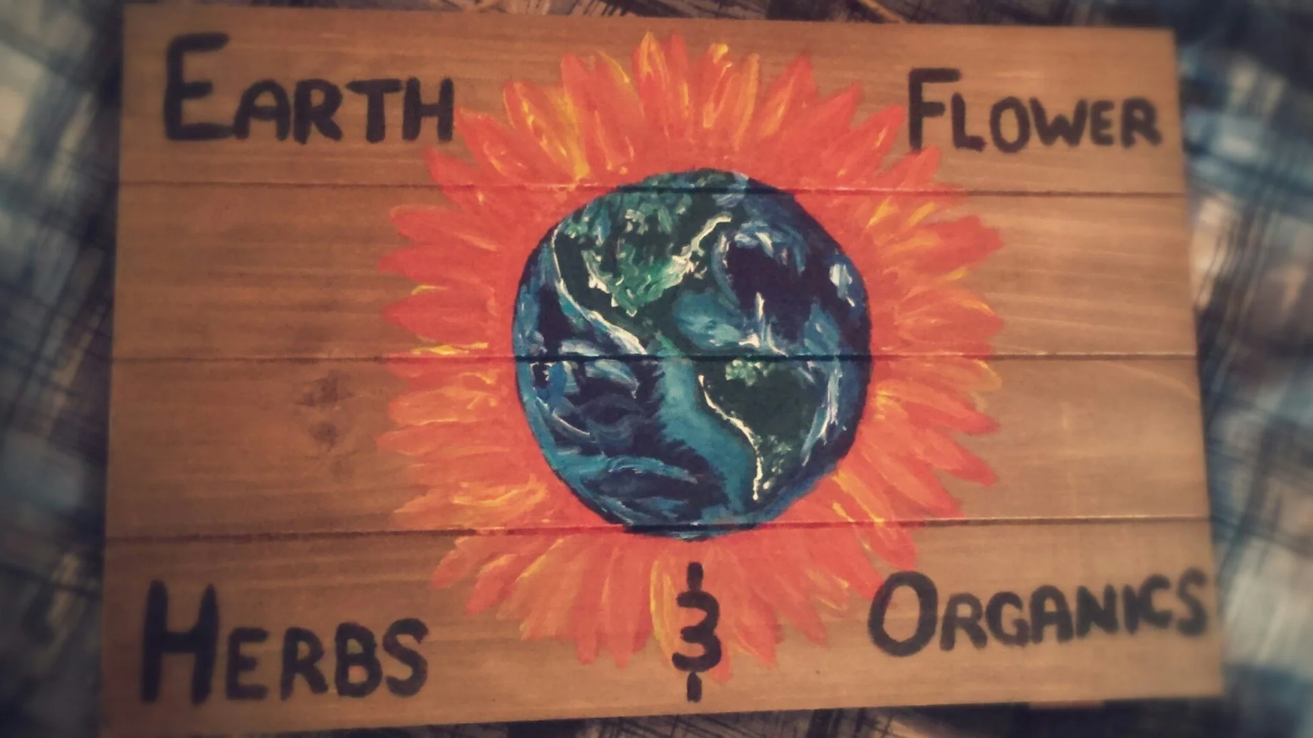 1449435164385.jpg