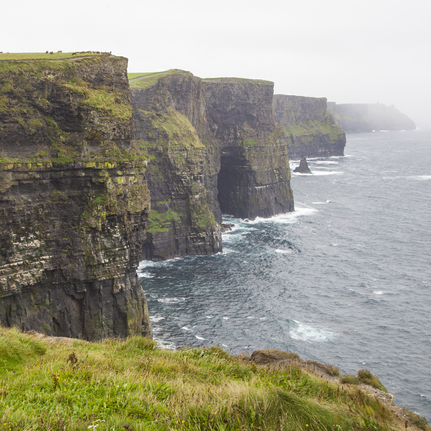 Cliffs of Moher