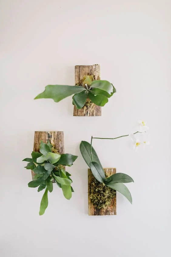 photo source: freshexchange