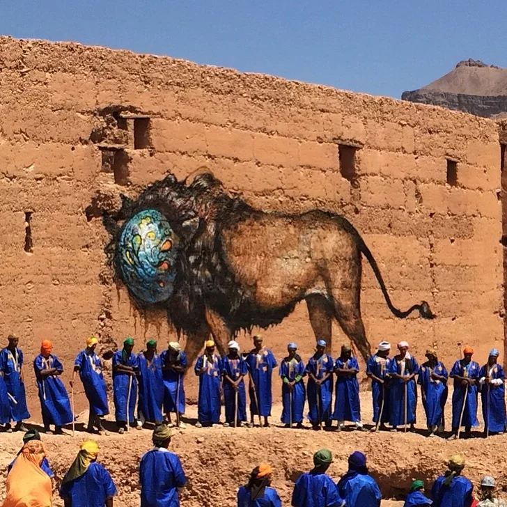 LION Agdz, Morocco 2016
