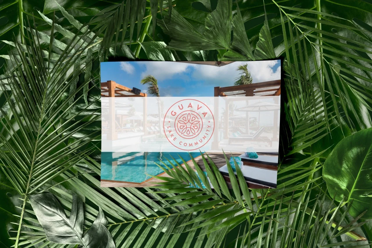 WhatsApp Image 2019-02-25 at 03.59.44.jpeg