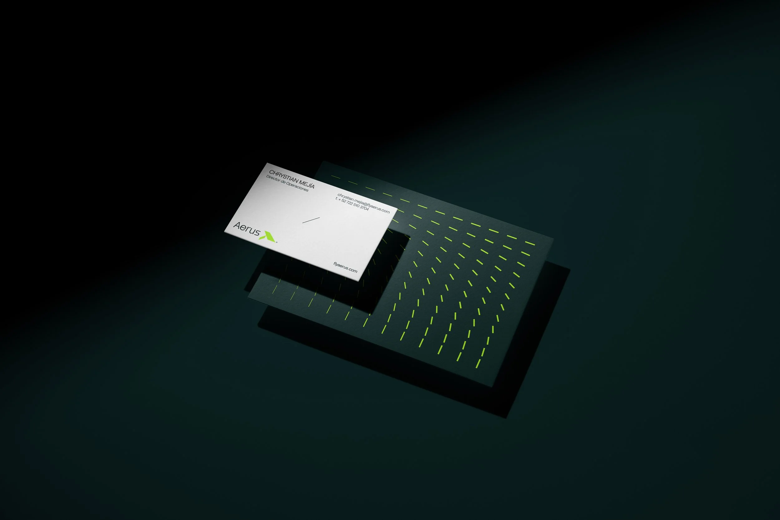 Branding-mockup-null-series-01 copia 2.jpg