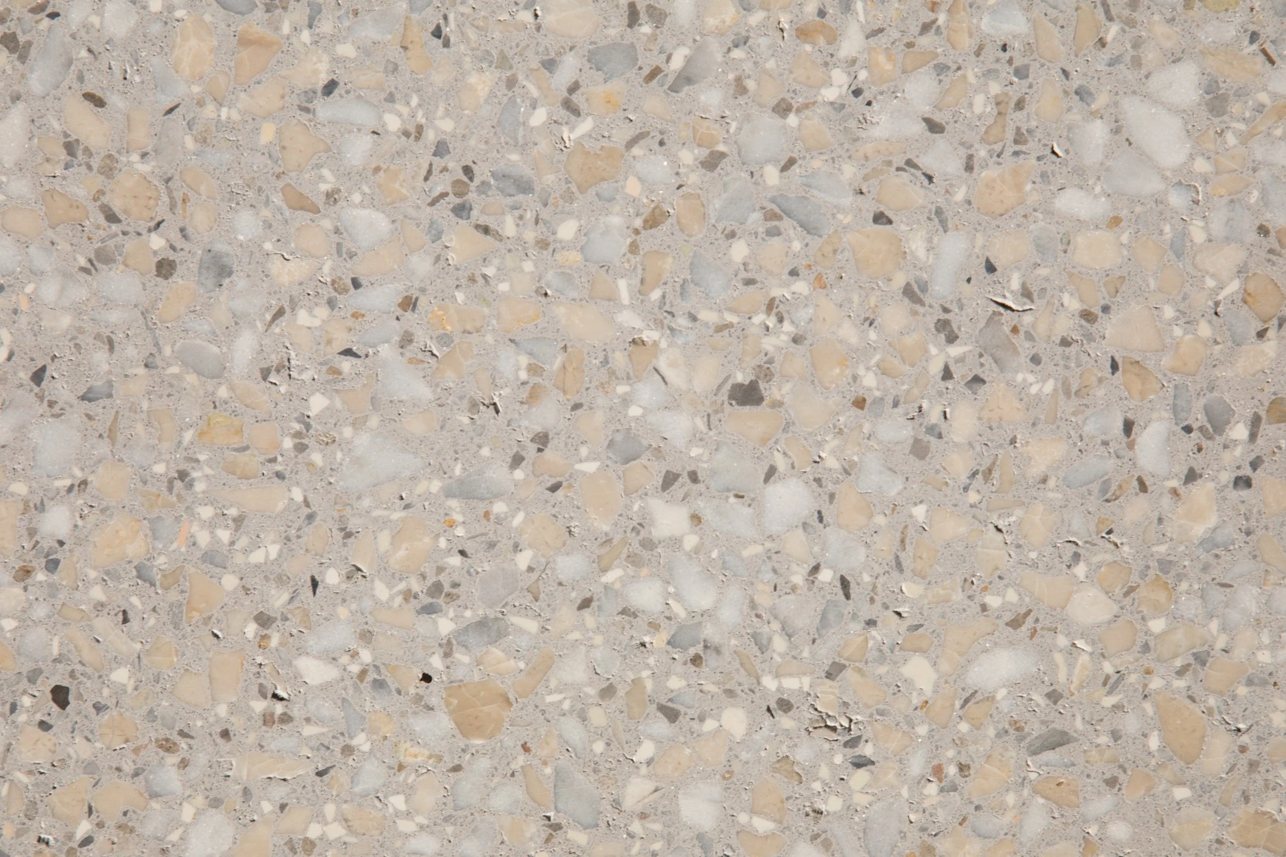 8956 Ziani Artedomus.jpg