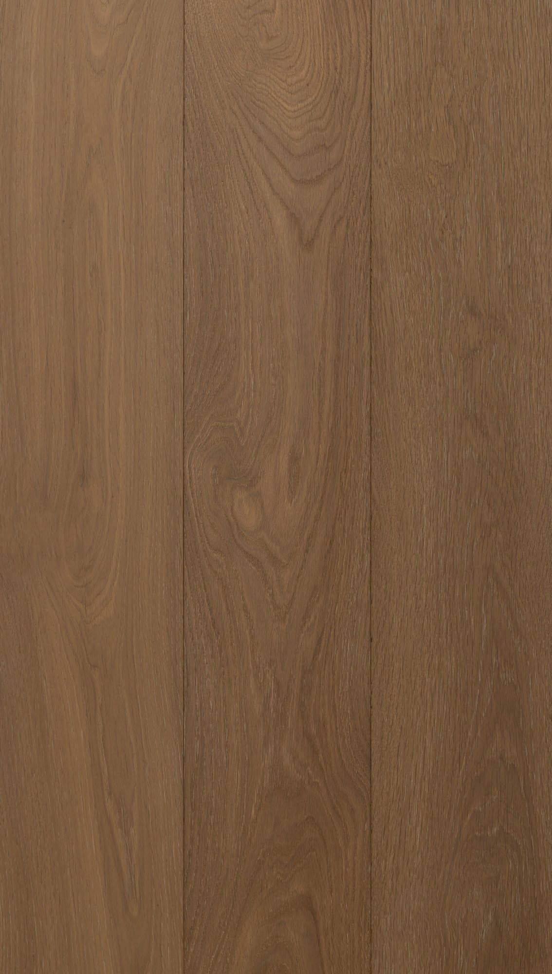 Biscuit_HR-1 Made by Storey.jpg