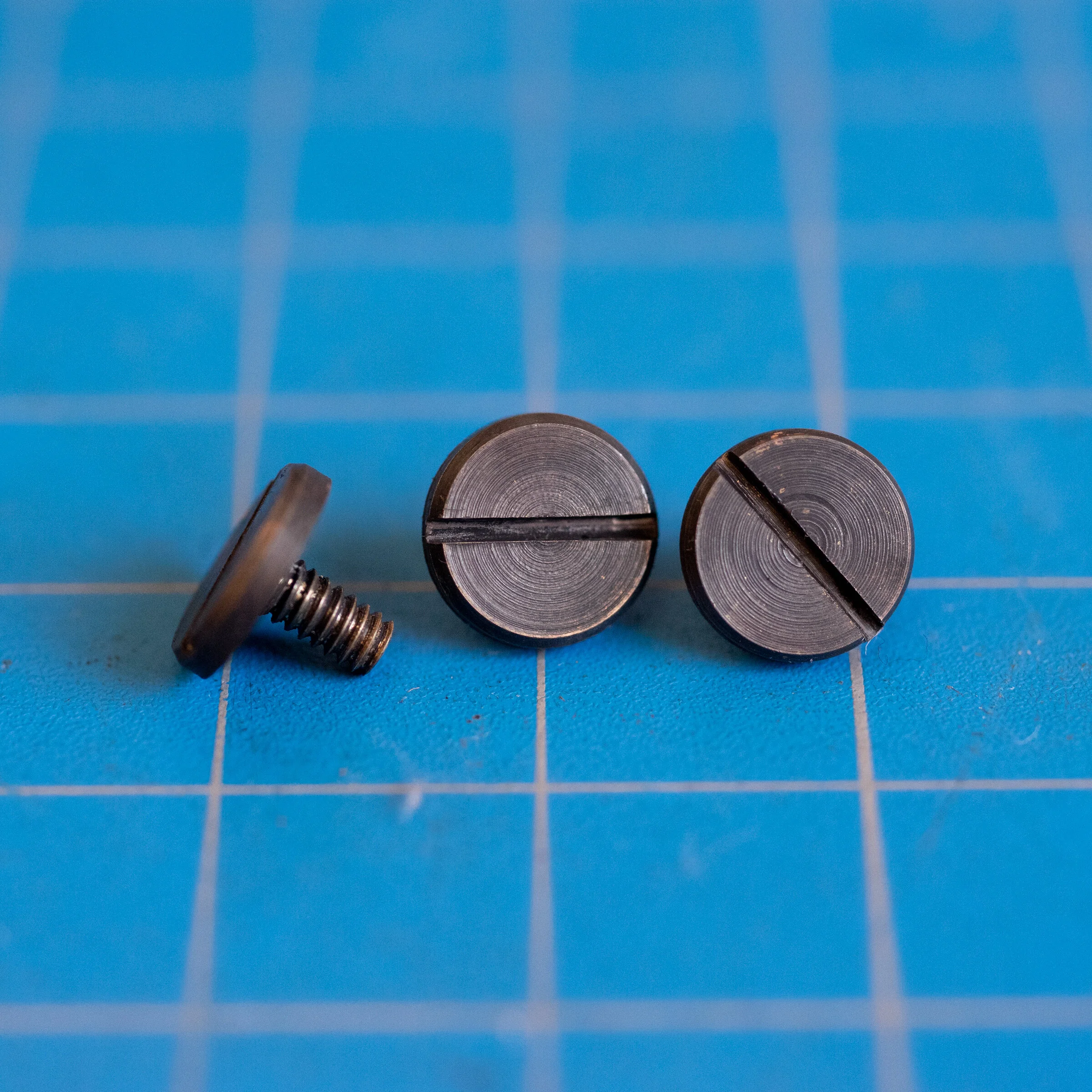 Front Rise Screws (for 'Home Portrait' model cameras only)
