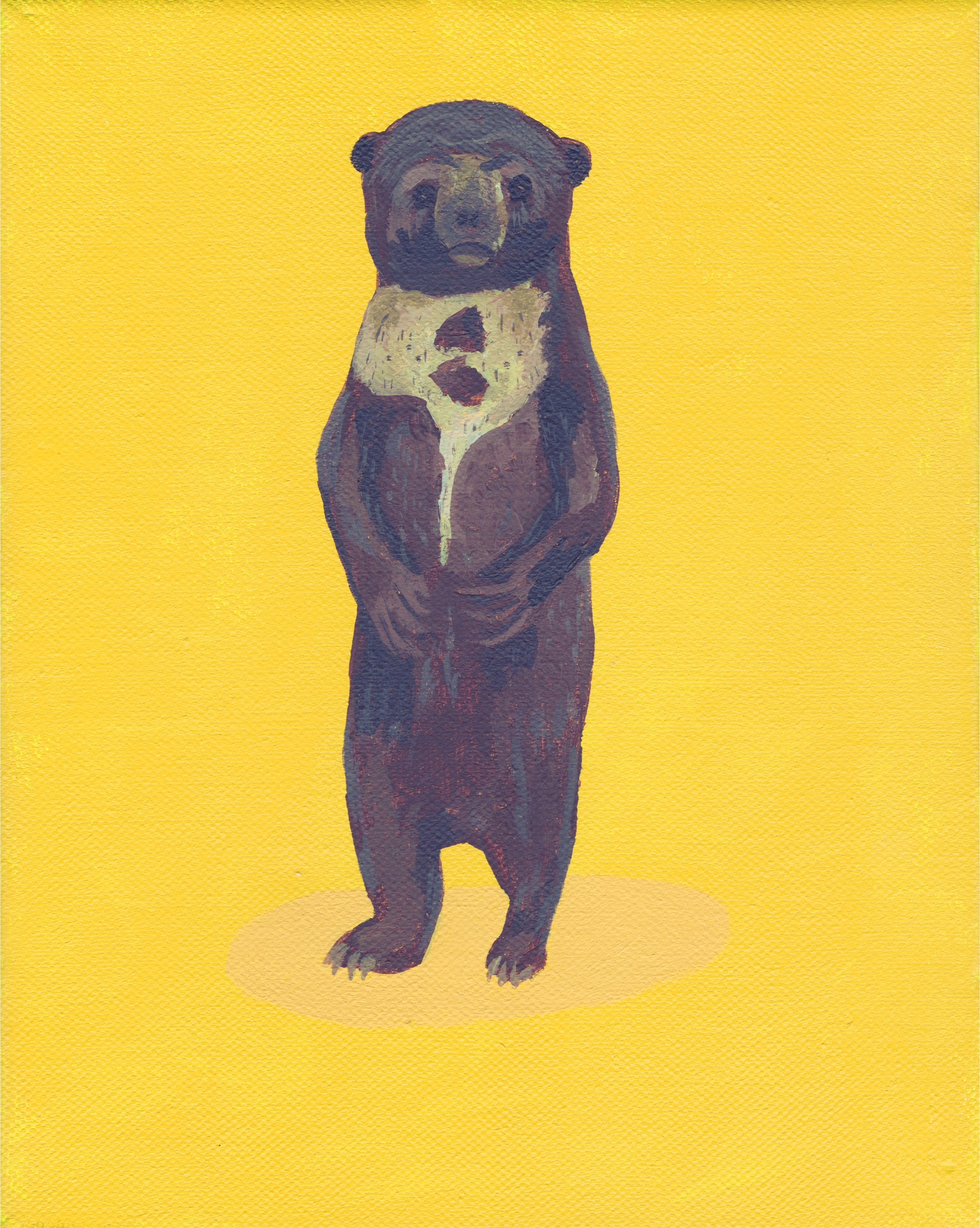 brown-bear.jpeg