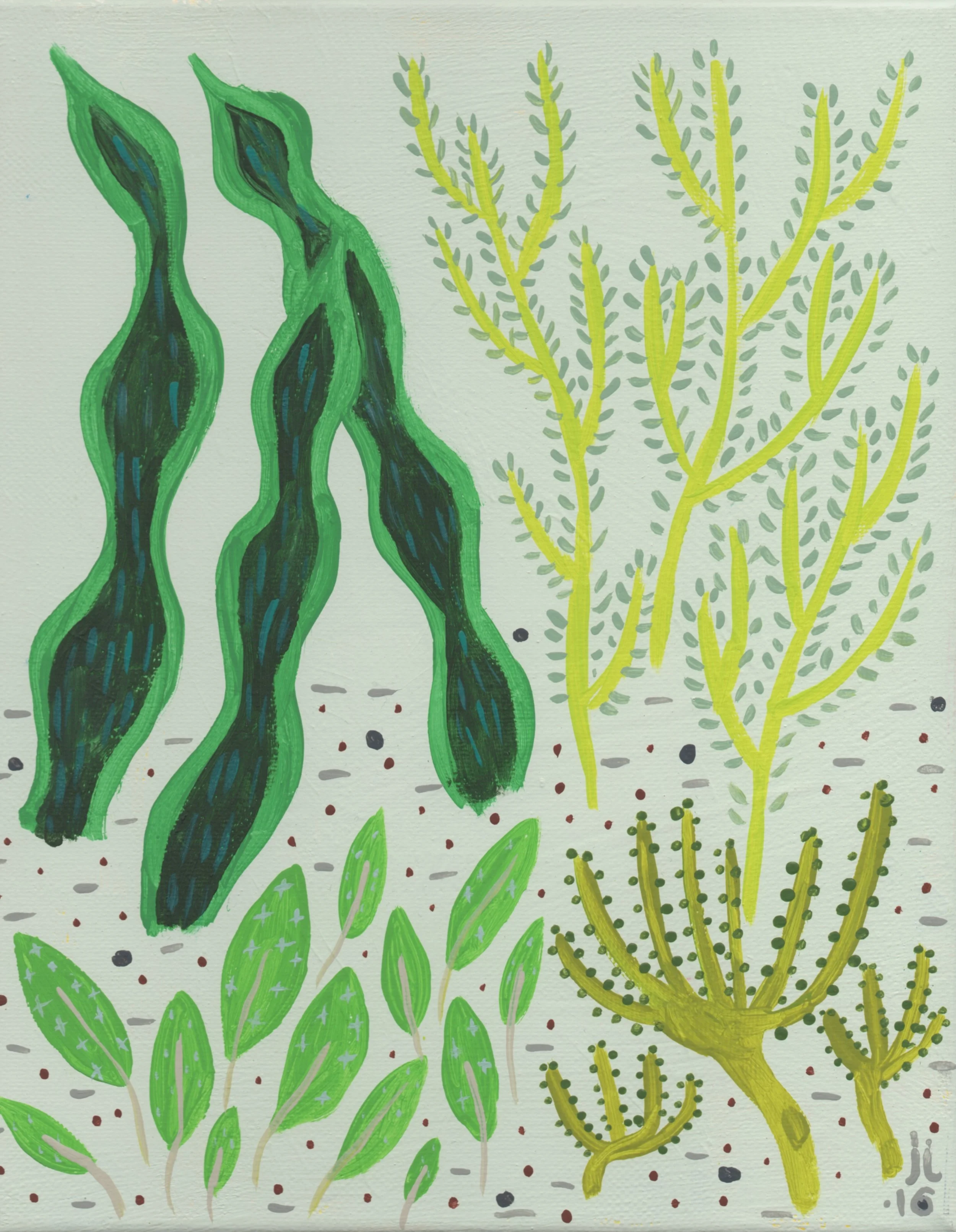 green-planties.jpeg